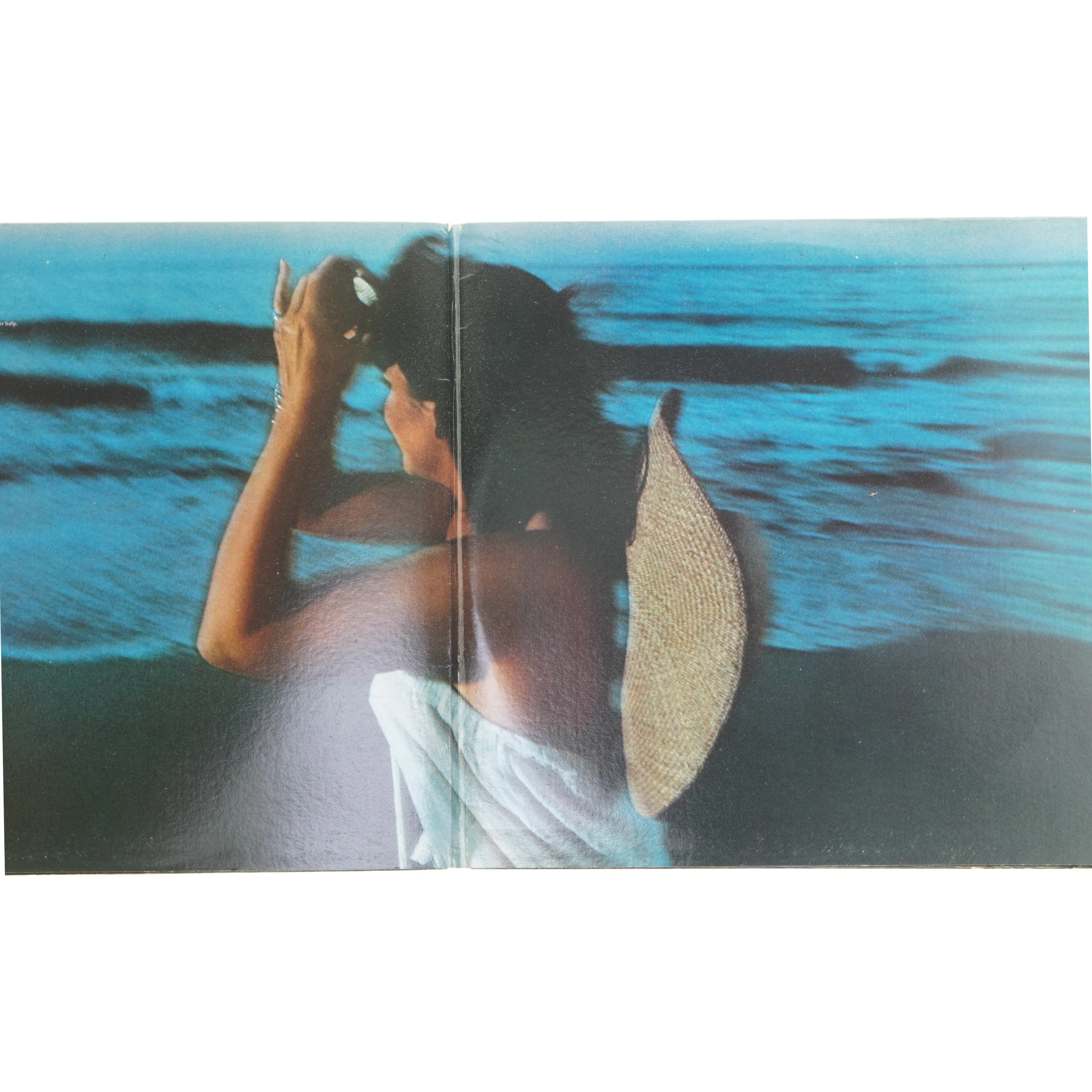 Linda Ronstadt - Hasten Down the Wind LP