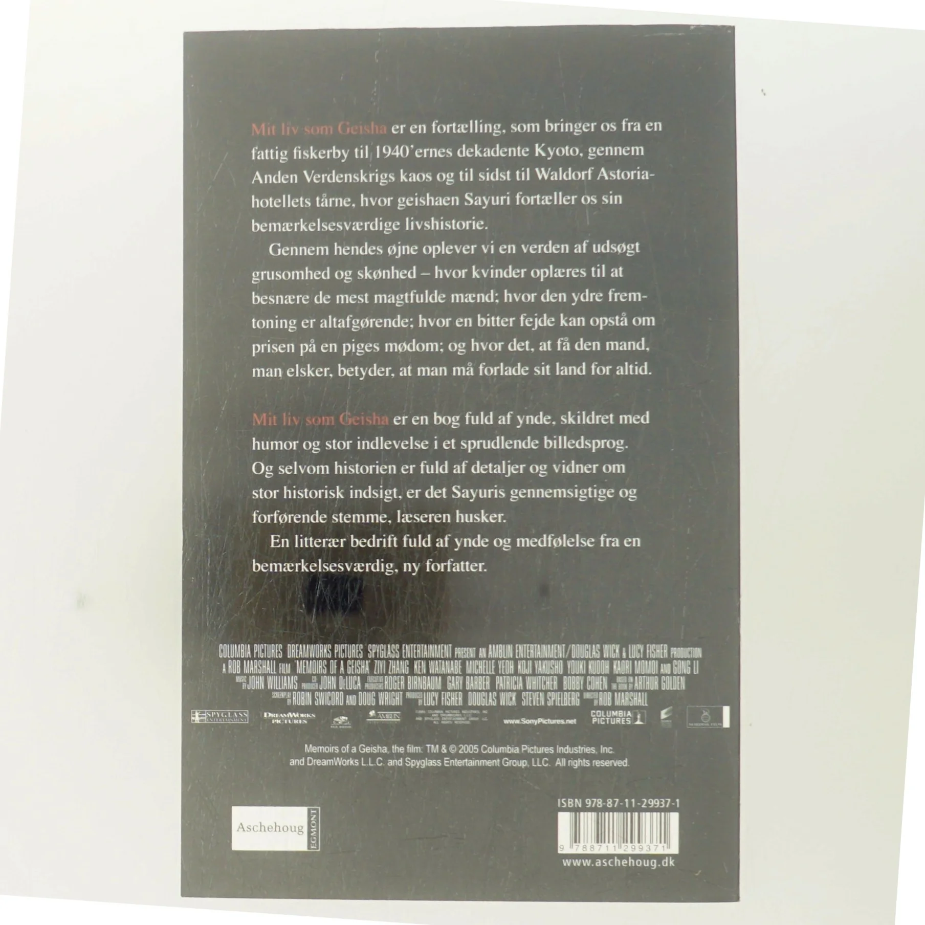 Mit liv som geisha : roman af Arthur Golden (Bog)