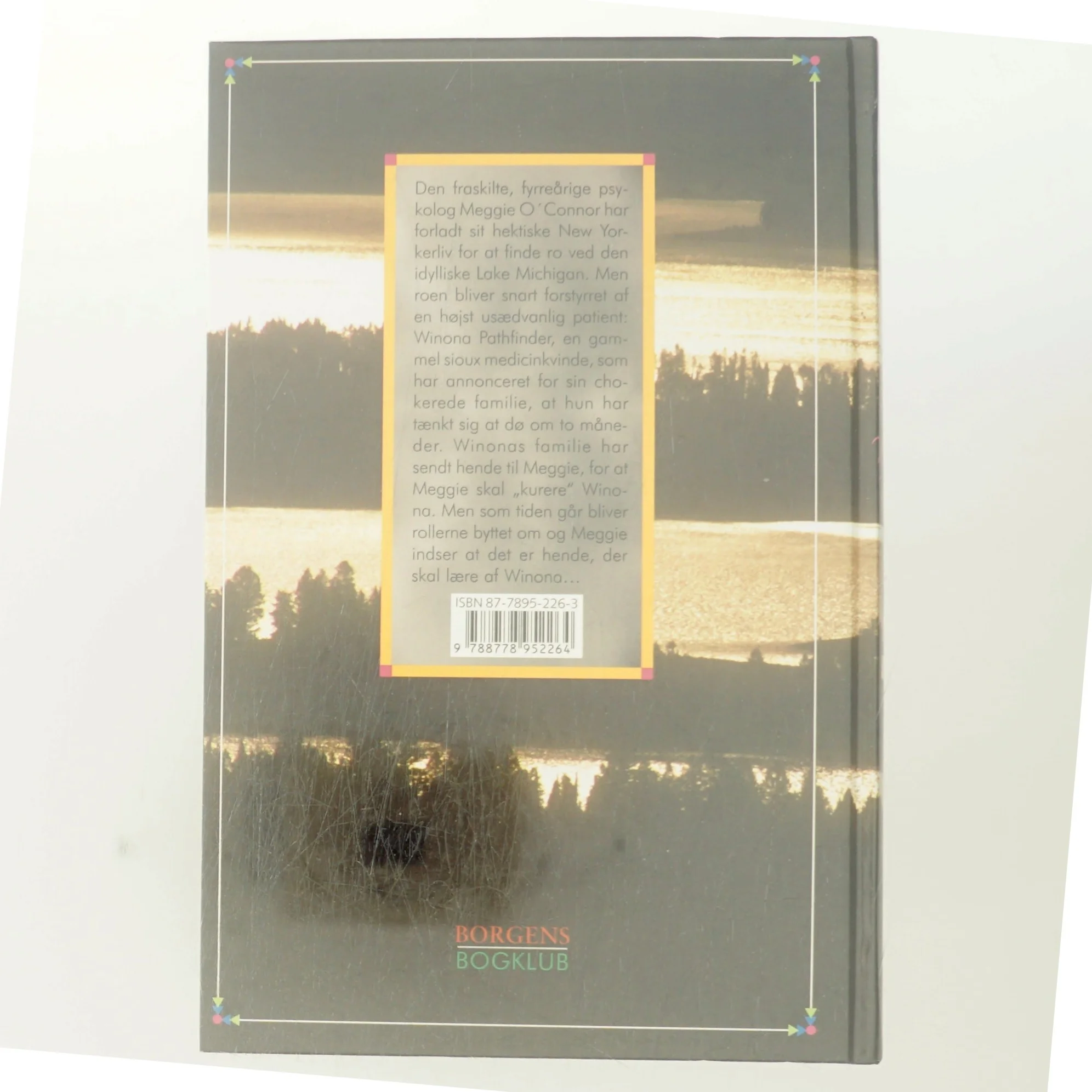 Winonas visdom : en shamankvindes historie af Priscilla Cogan (Bog)