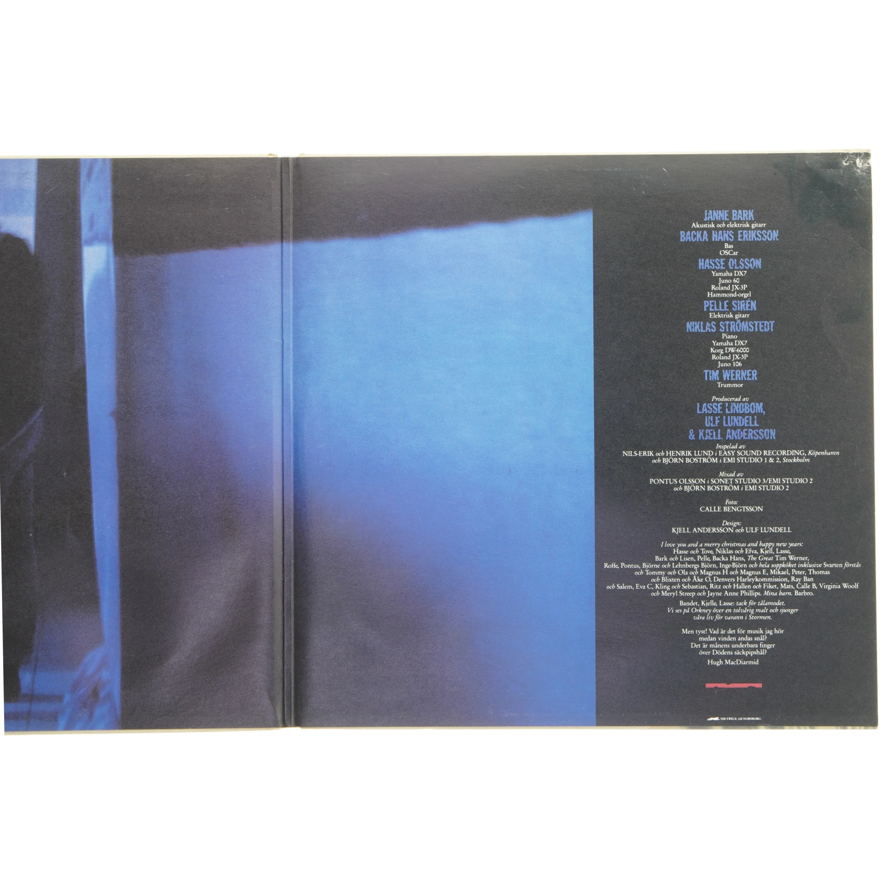 LP Vinyl 'Den Vassa Eggen'