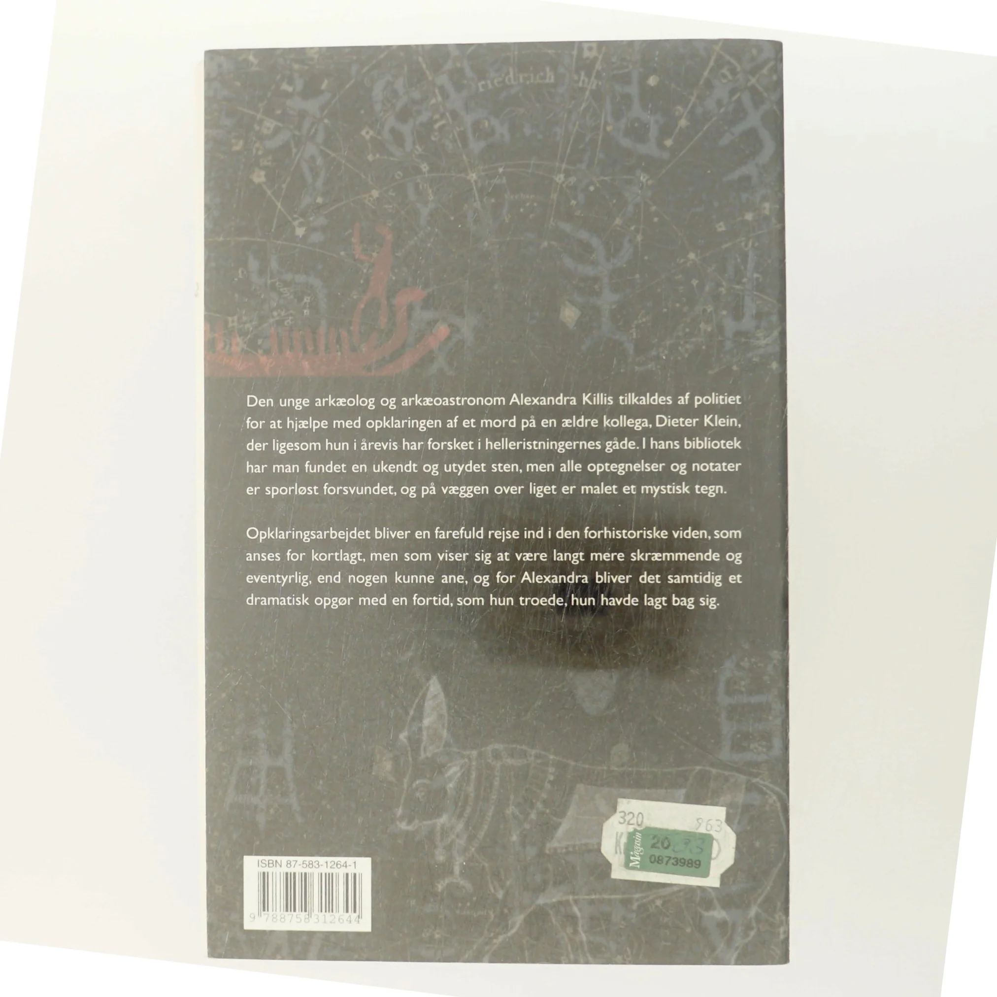 Femte sol brænder : roman af Michael Larsen (f. 1961) (Bog)