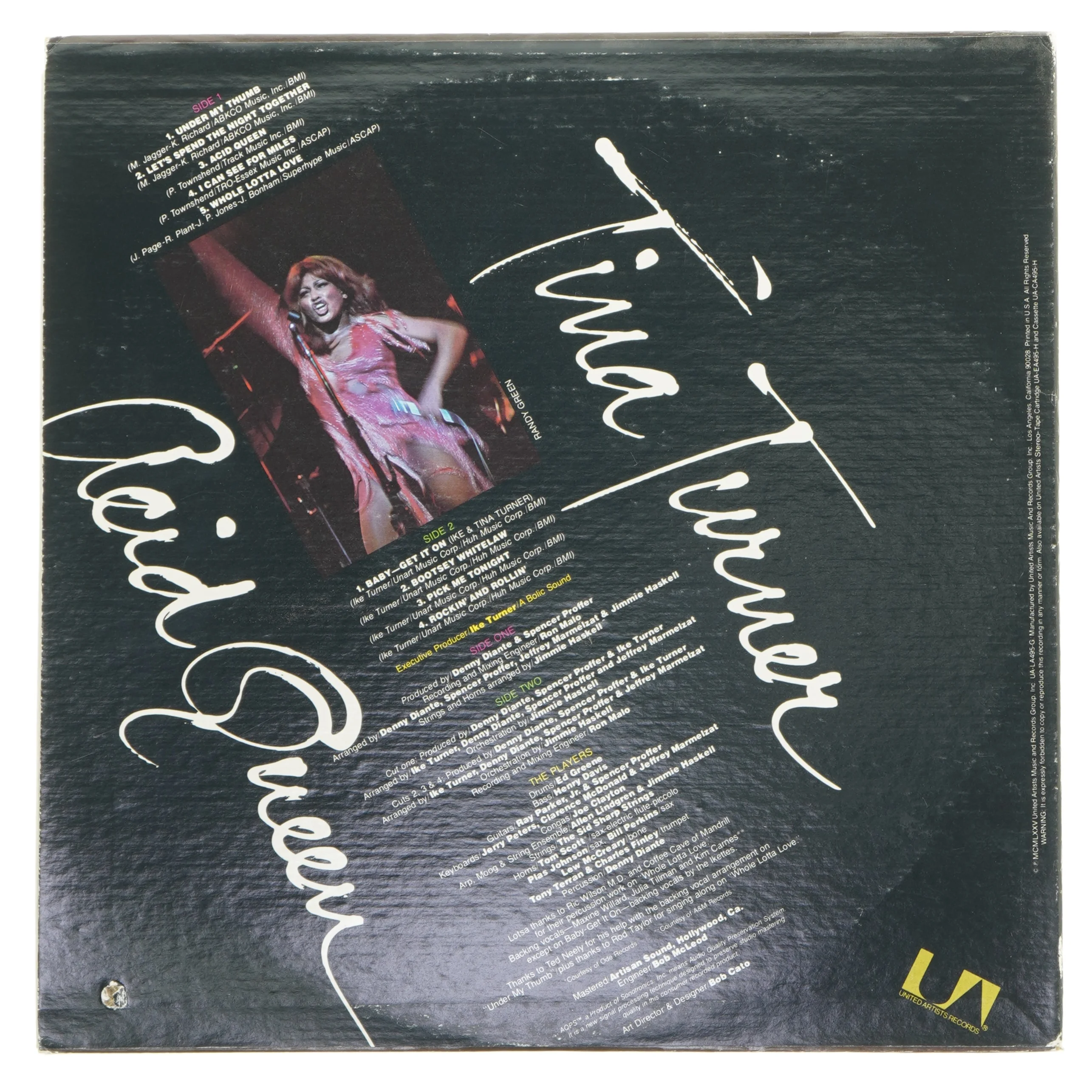 Tina Turner Acid Queen LP fra Tina Turner