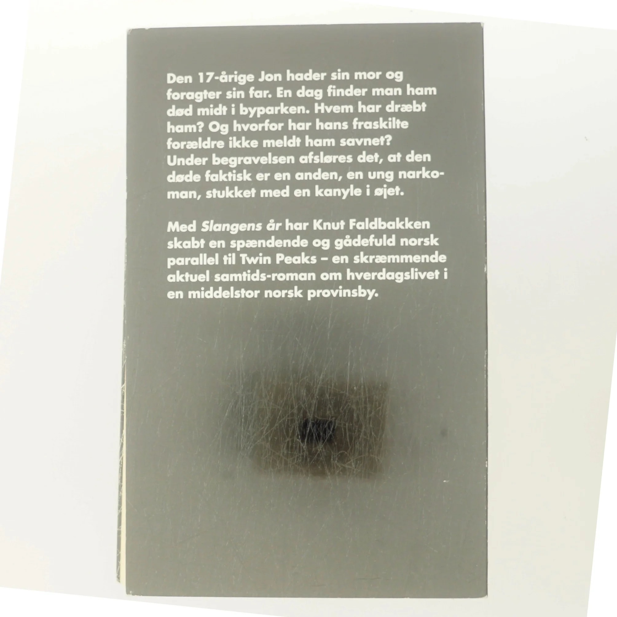 Slangens år af Knut Faldbakken (Bog)