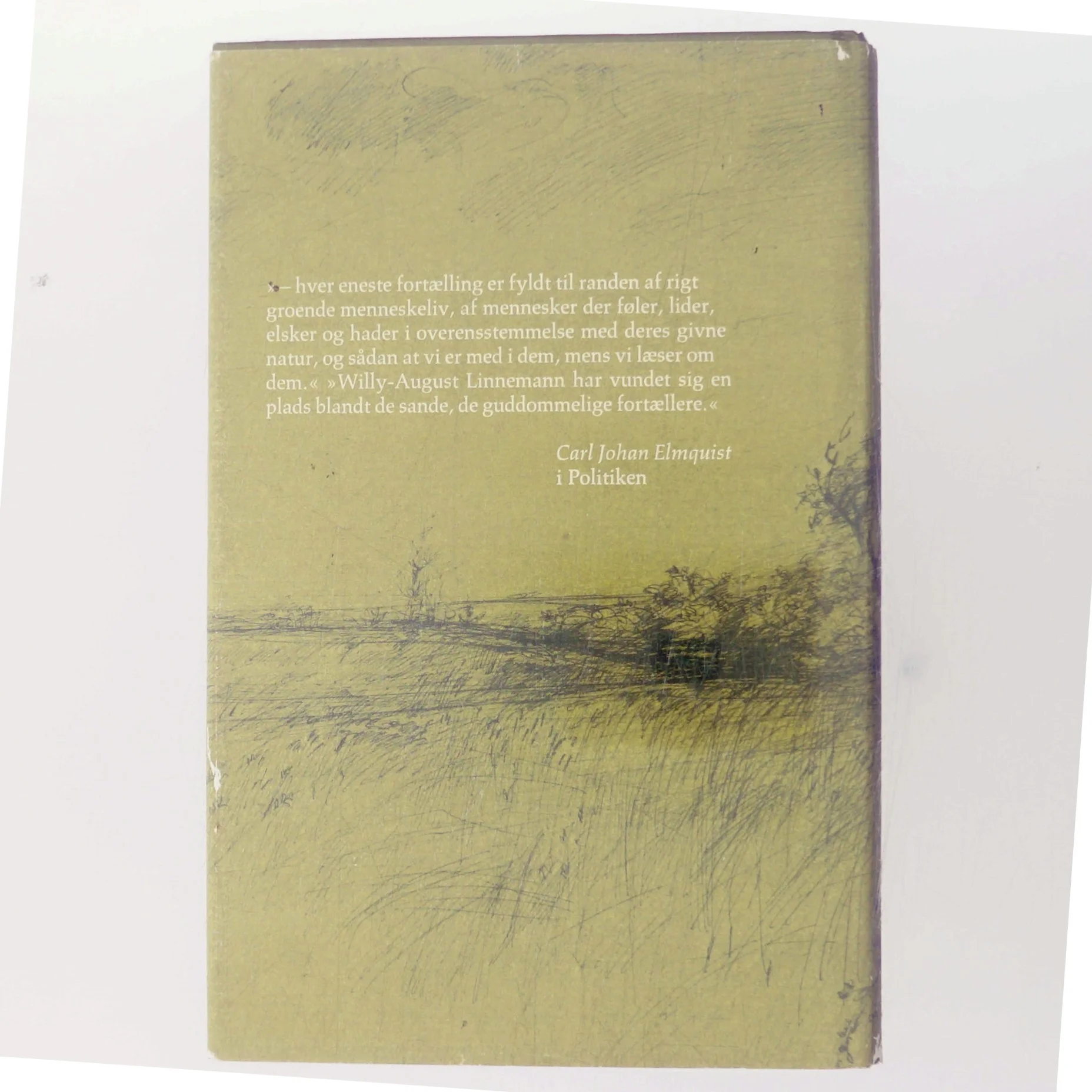 Bogen om det skjulte Ansigt af Willy-August Linnemann (Bog)