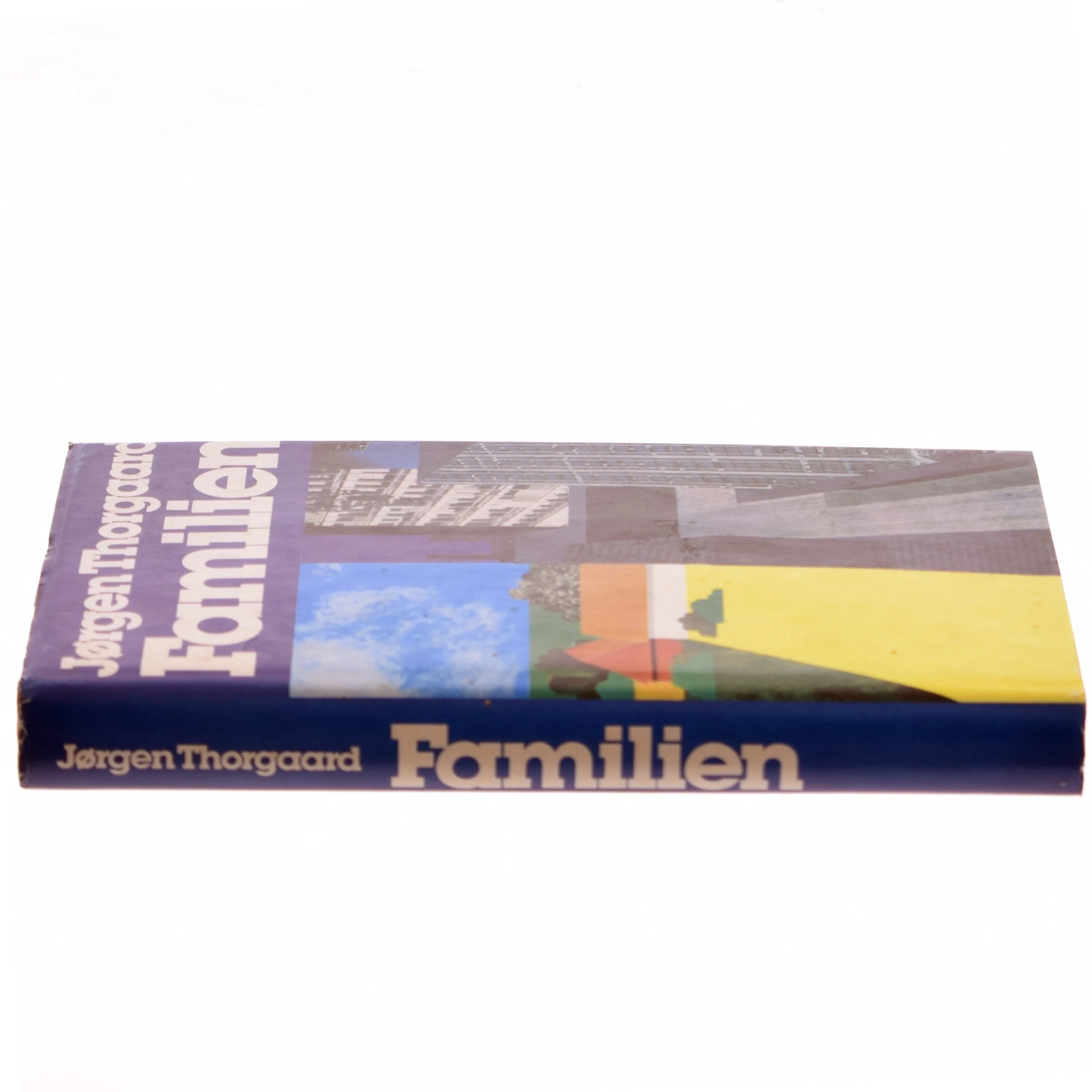 Familien af Jørgen Thorgaard (Bog)