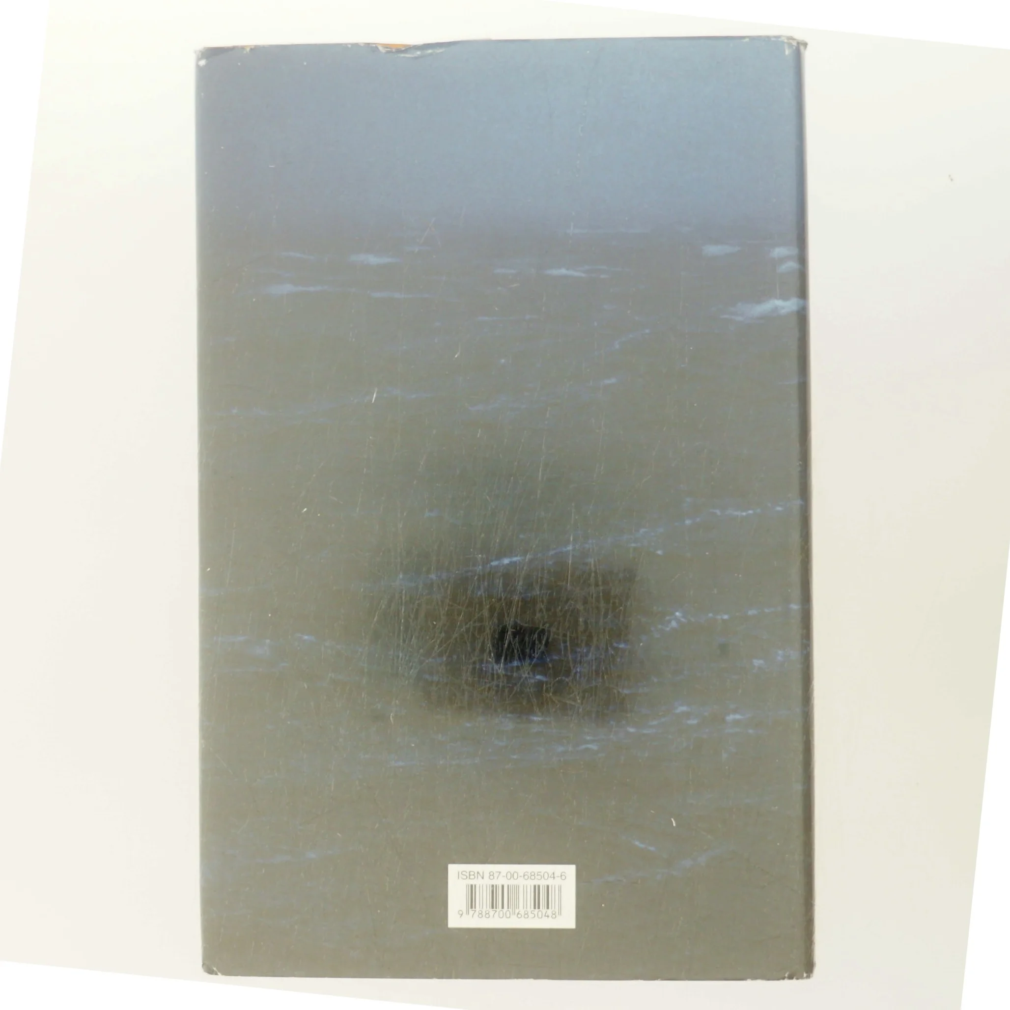 Blå hav : roman af Susanne Staun (Bog)