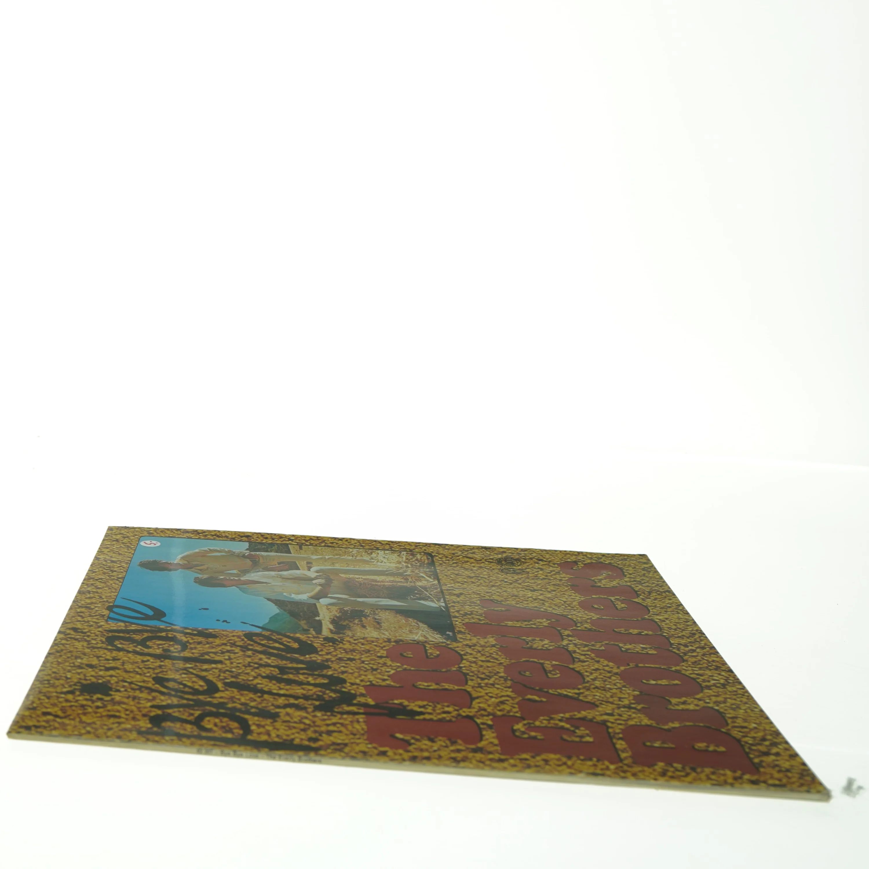 The Everly Brothers - Bye Bye Love vinylplade fra Warner Bros. (str. 31 x 31 cm)