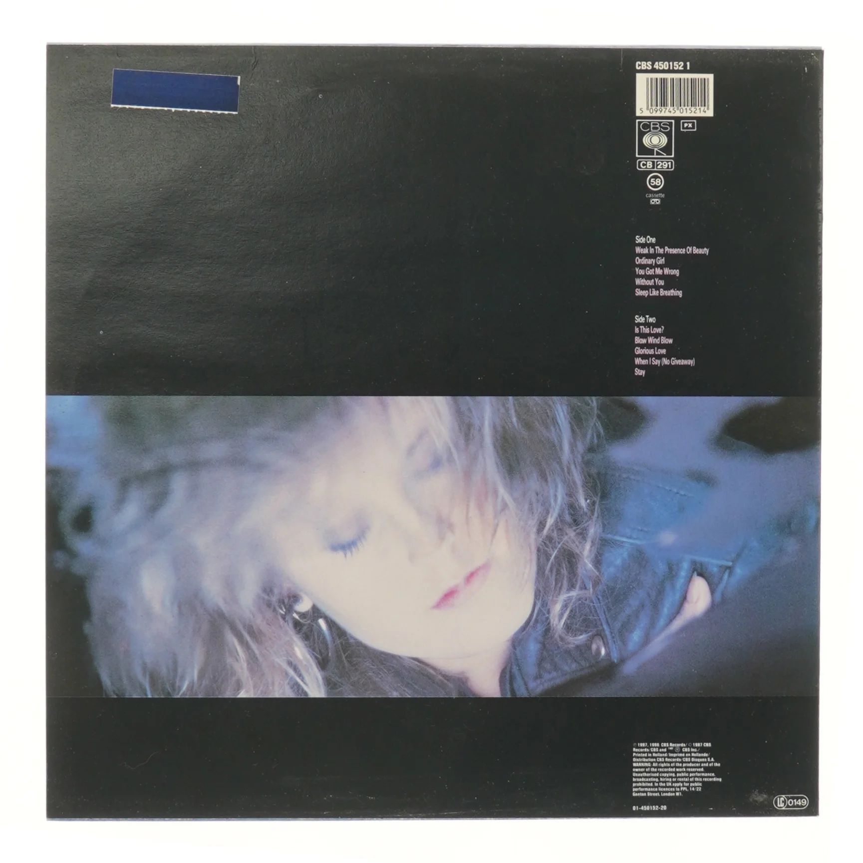 Raindancing LP af Alison Moyet