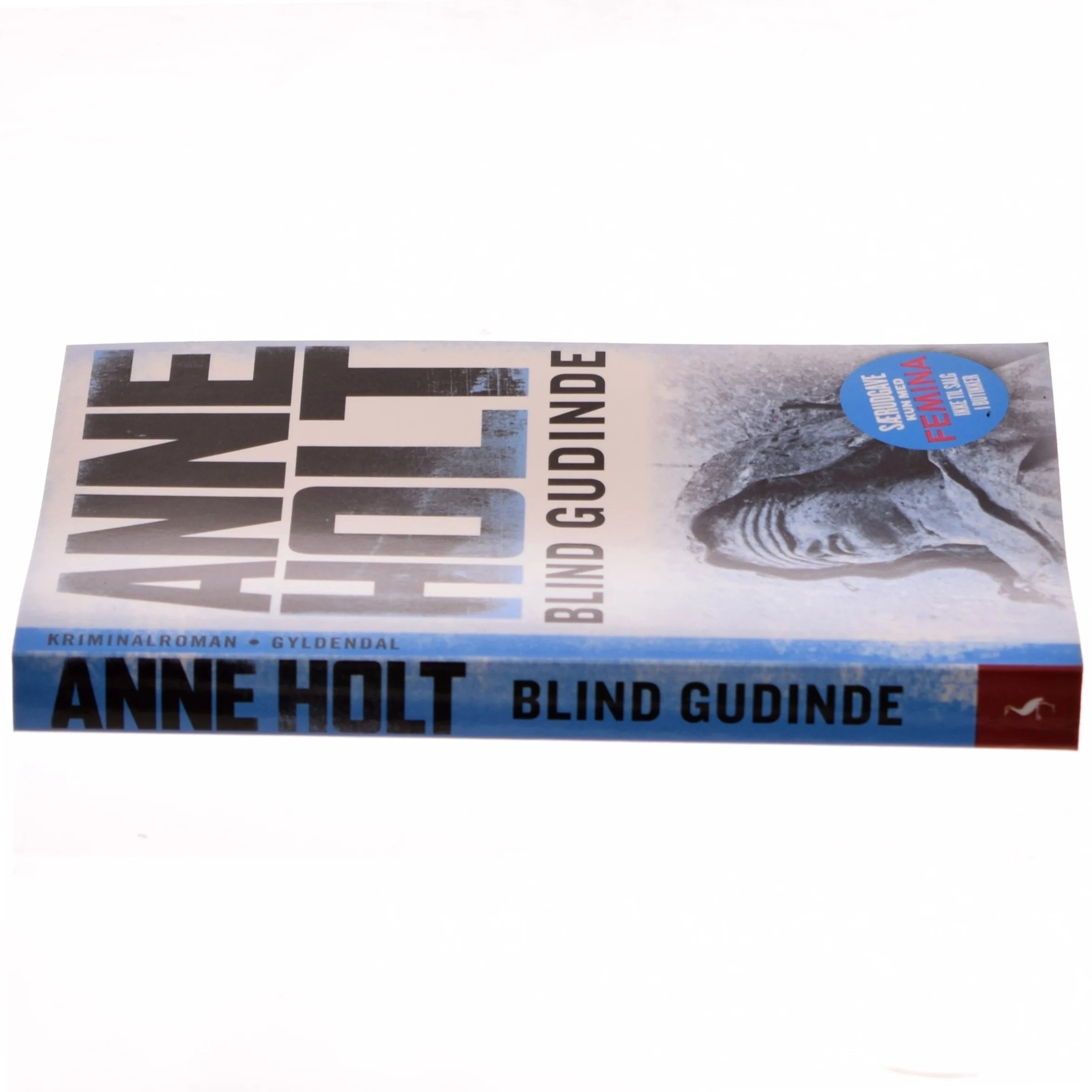 Blind gudinde af Anne Holt (f. 1958-11-16) (Bog)