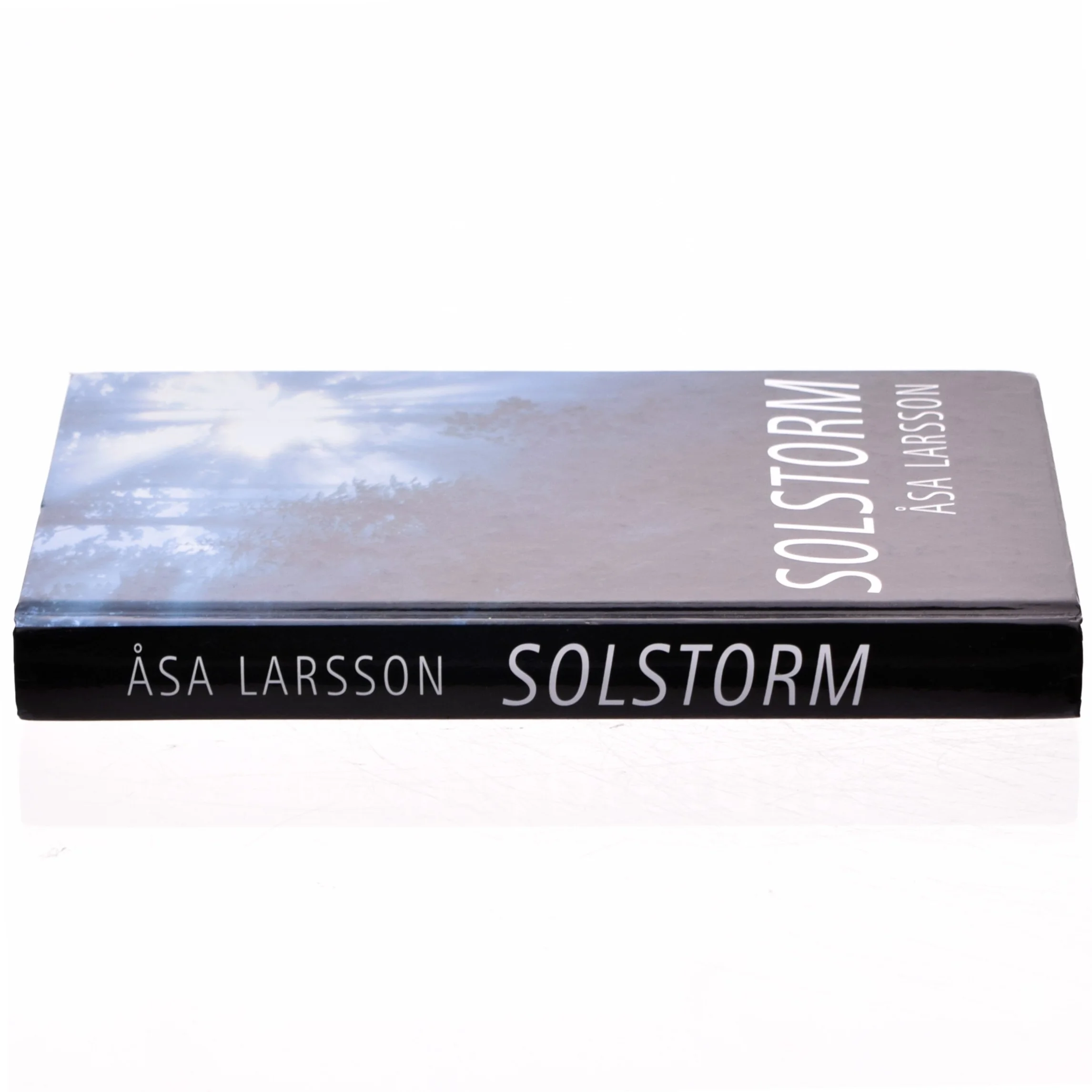 Solstorm af Åsa Larsson (Bog)