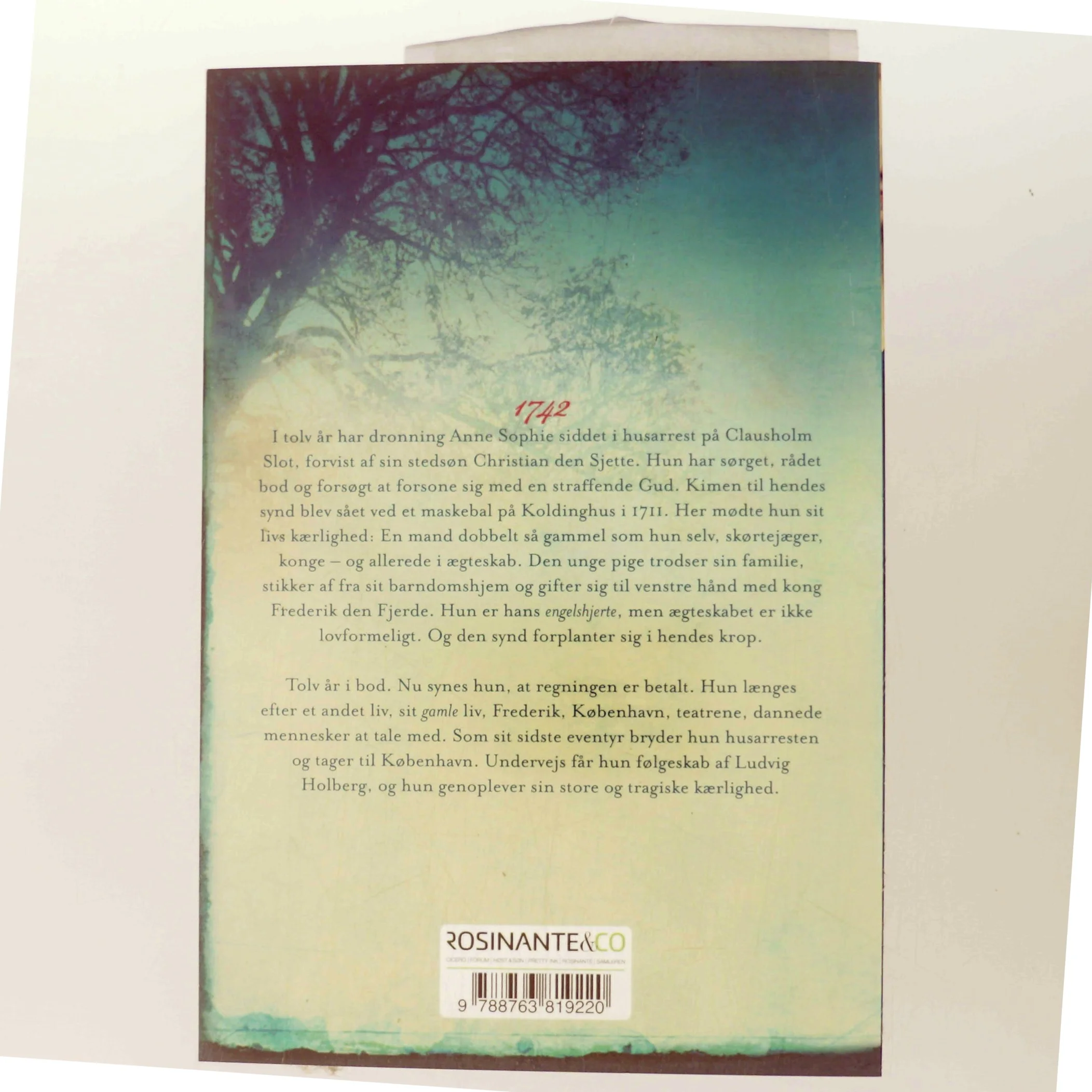 Engelshjerte : roman af Maria Helleberg (Bog)