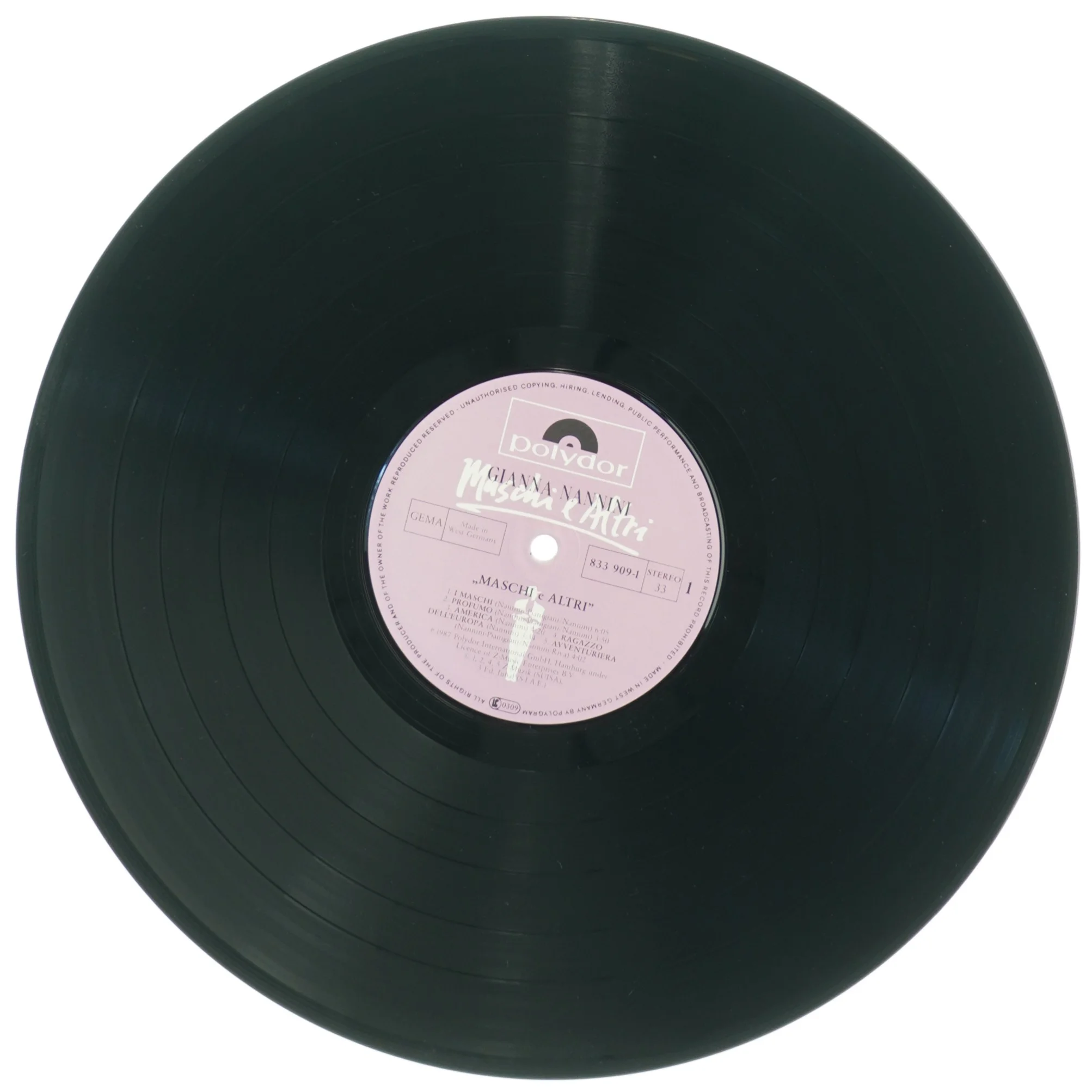 Gianna Nannini - Maschi e Altri Vinyl LP (str. 31 x 31 cm)