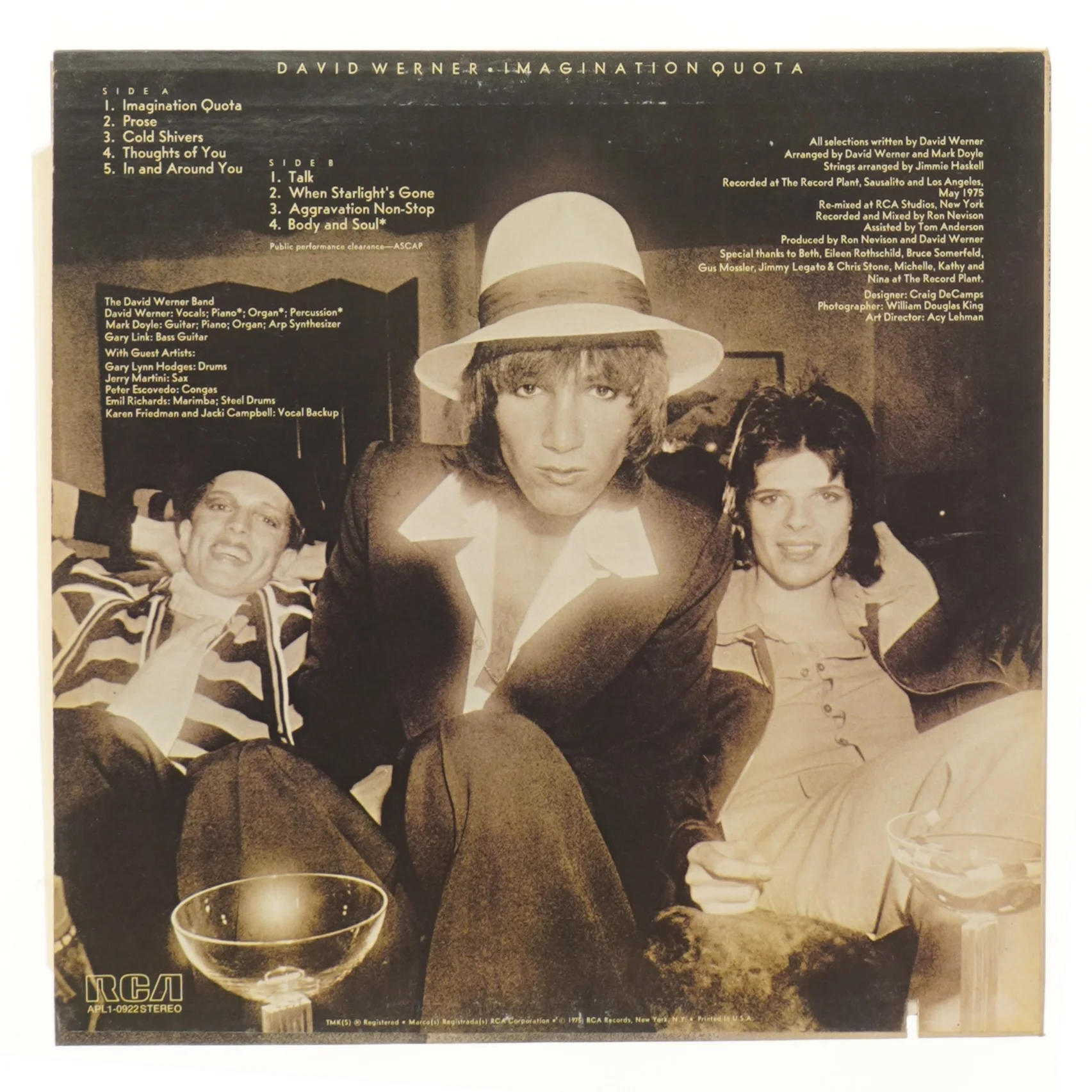 David Werner - Imagination Quota - Vinyl LP fra RCA