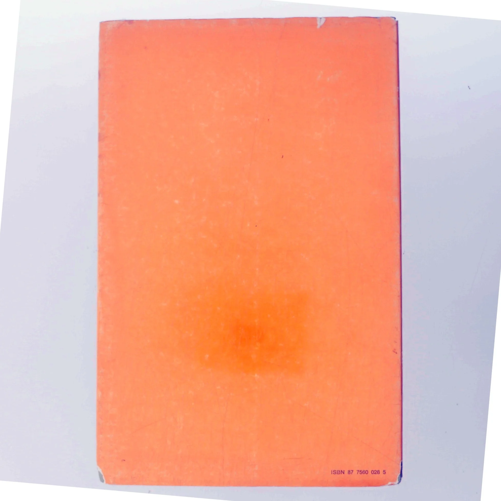 Verden uden kvinder af Virgilio Martini (Bog)