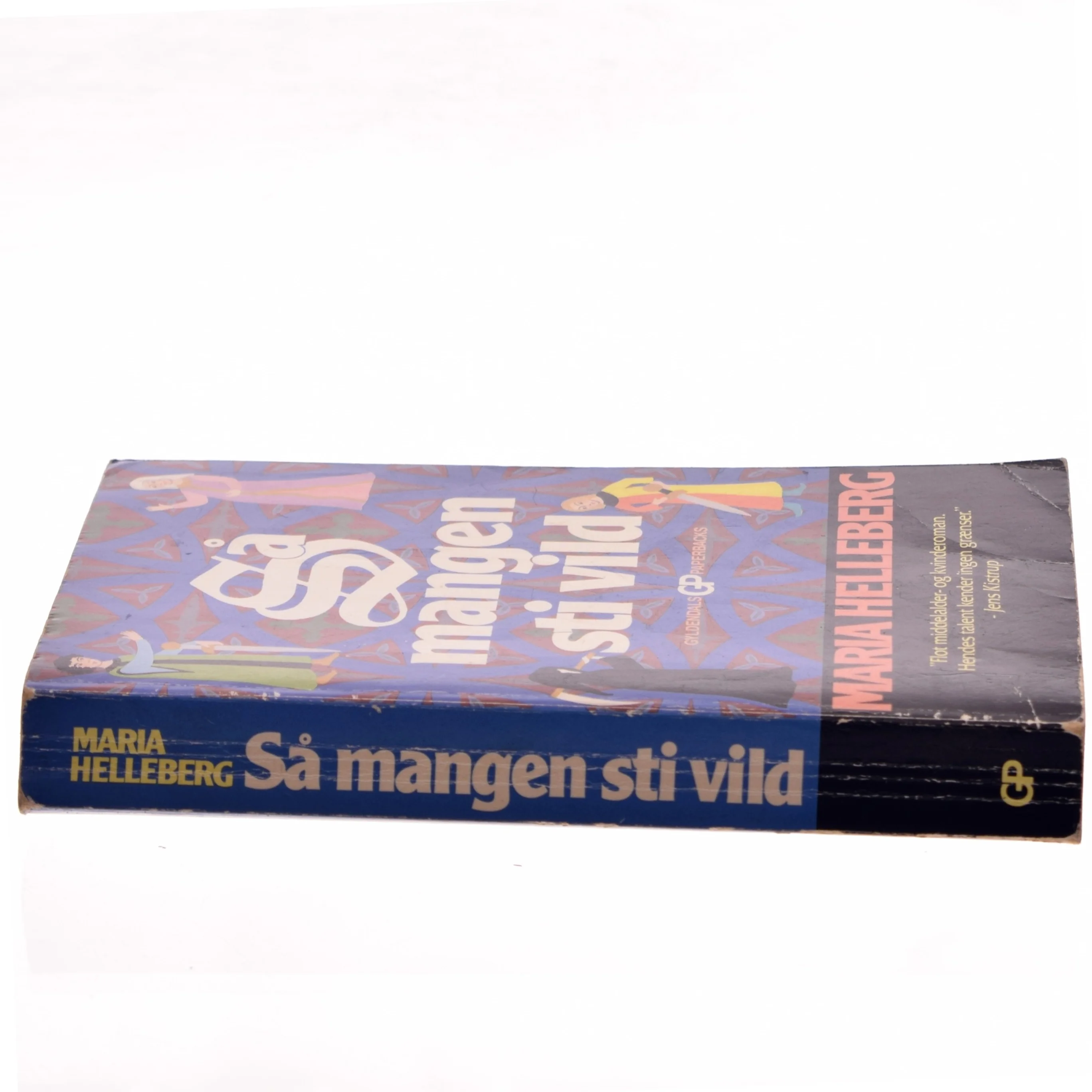 Så mangen sti vild (Bog)