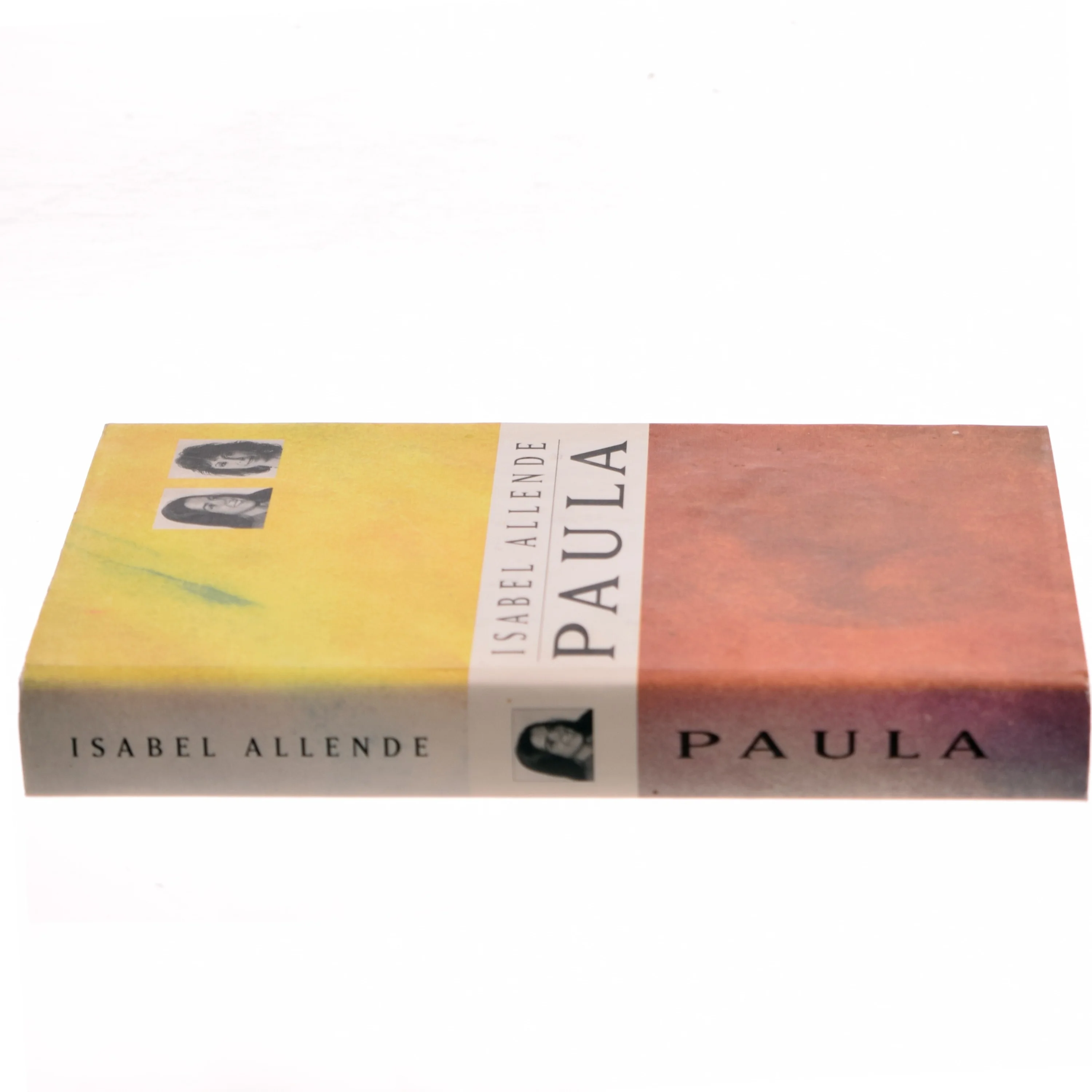 Paula af Isabel Allende (Bog)