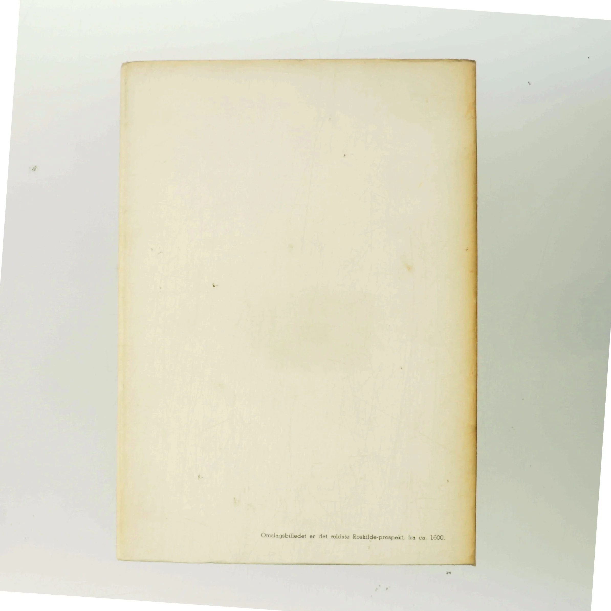 Roskilde af Arthur Fang (Bog)