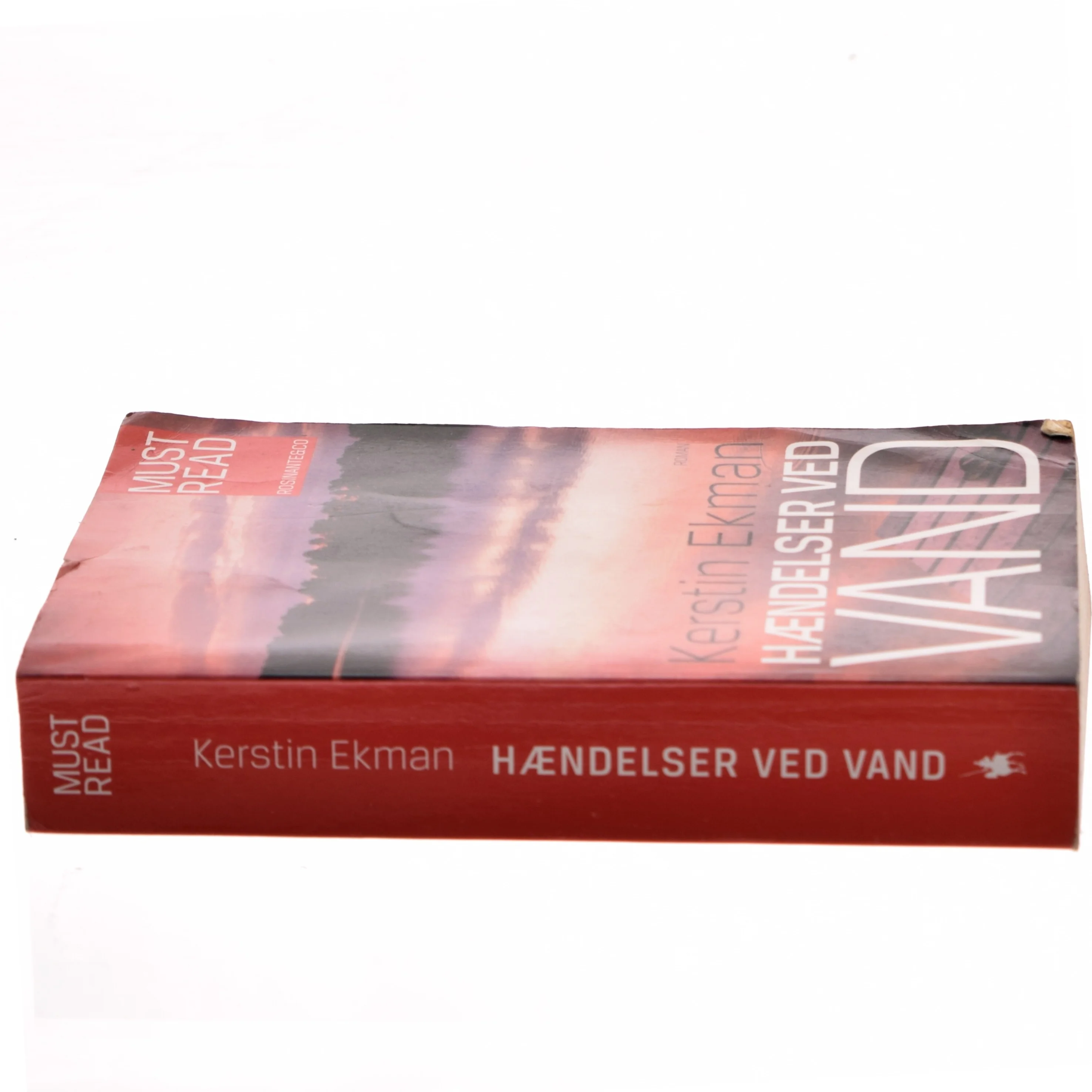 Hændelser ved vand : roman af Kerstin Ekman (Bog)