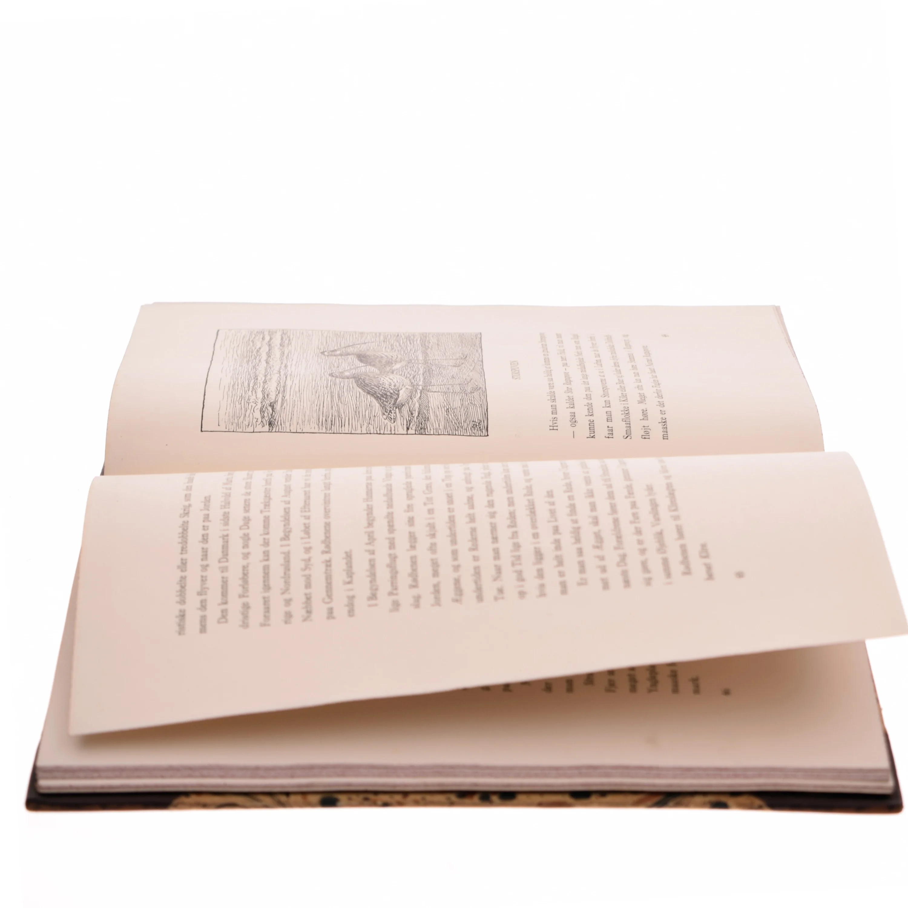 Trækfugle, Johannes Larsen og H.Hvass