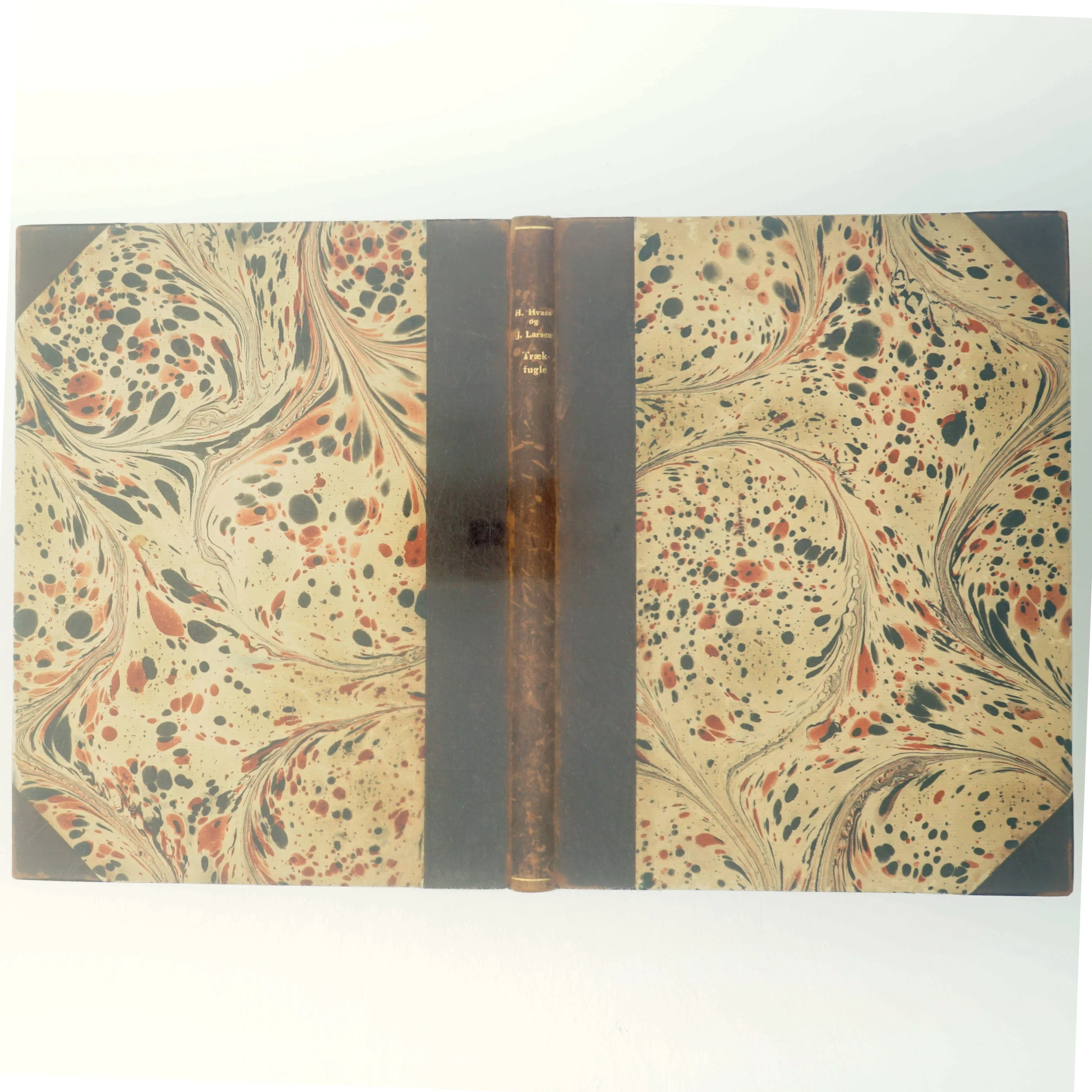 Trækfugle, Johannes Larsen og H.Hvass