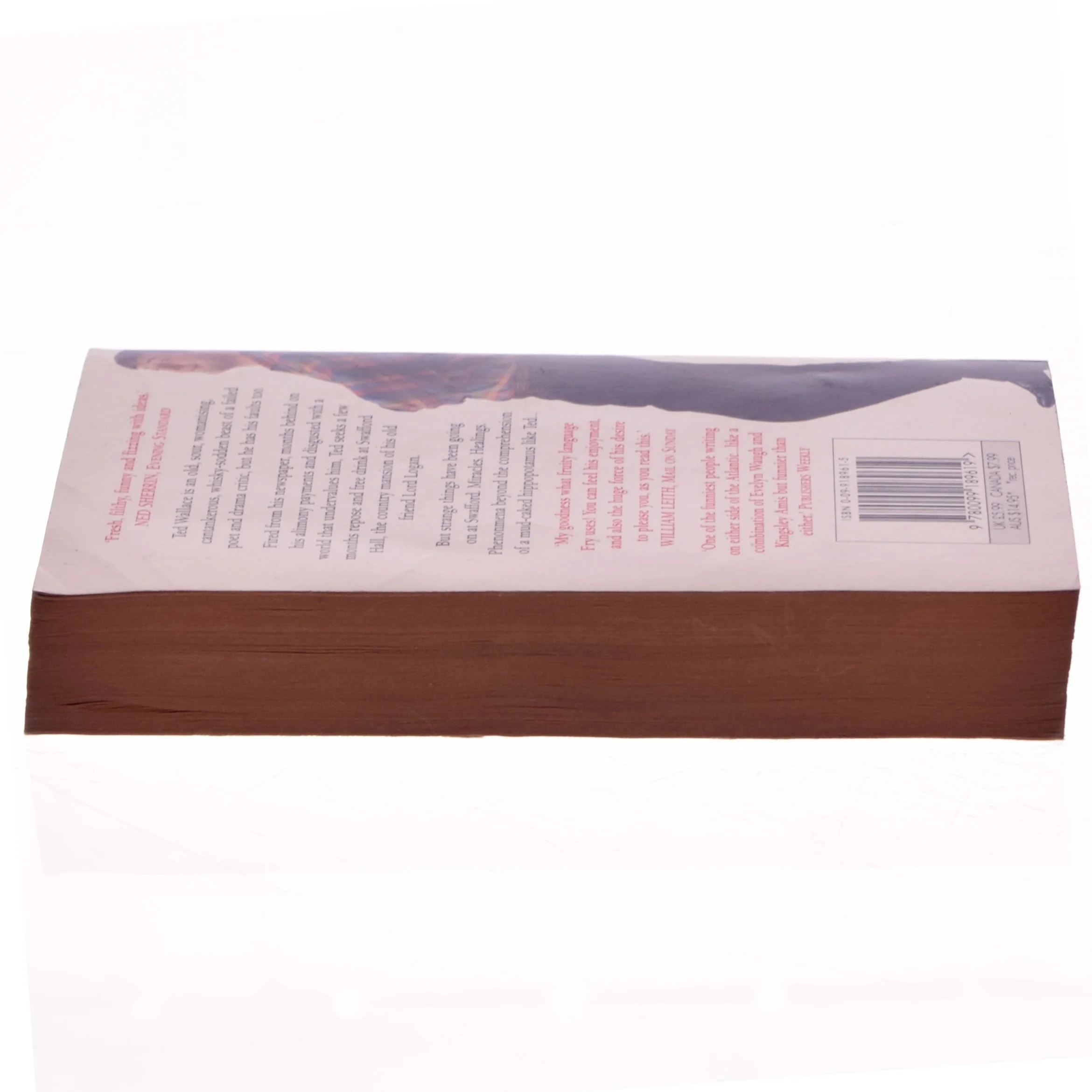 The hippopotamus af Stephen Fry (Bog)