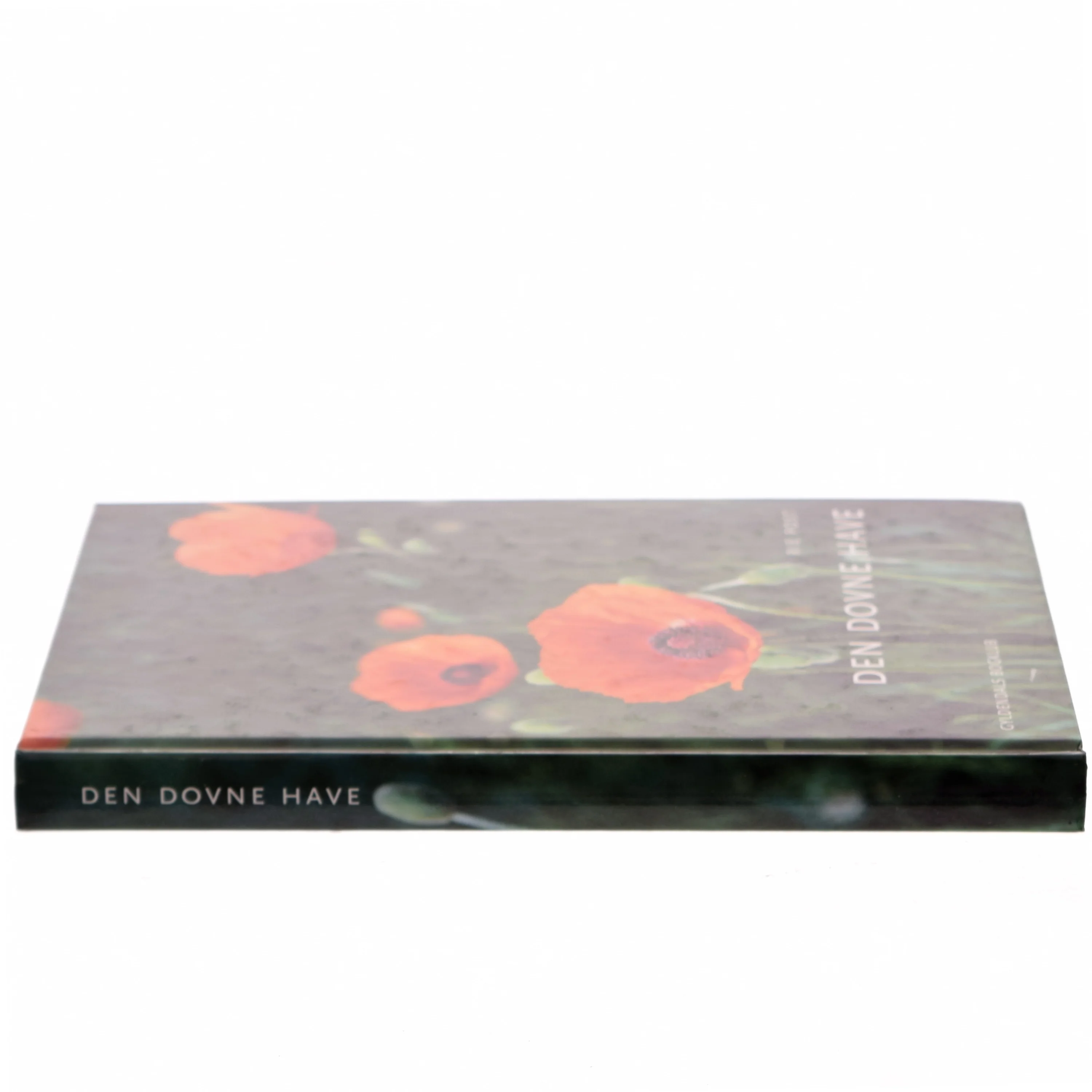 Den dovne have af Rie Post (Bog)