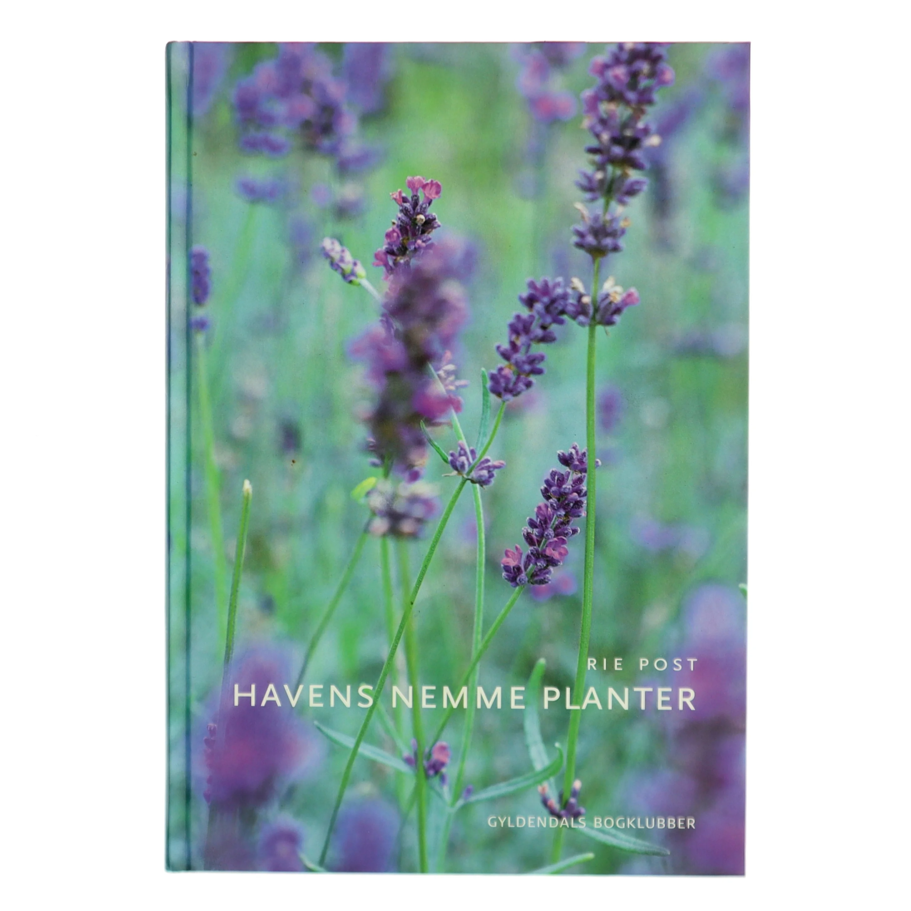 Havens nemme planter af Rie Post (Bog)