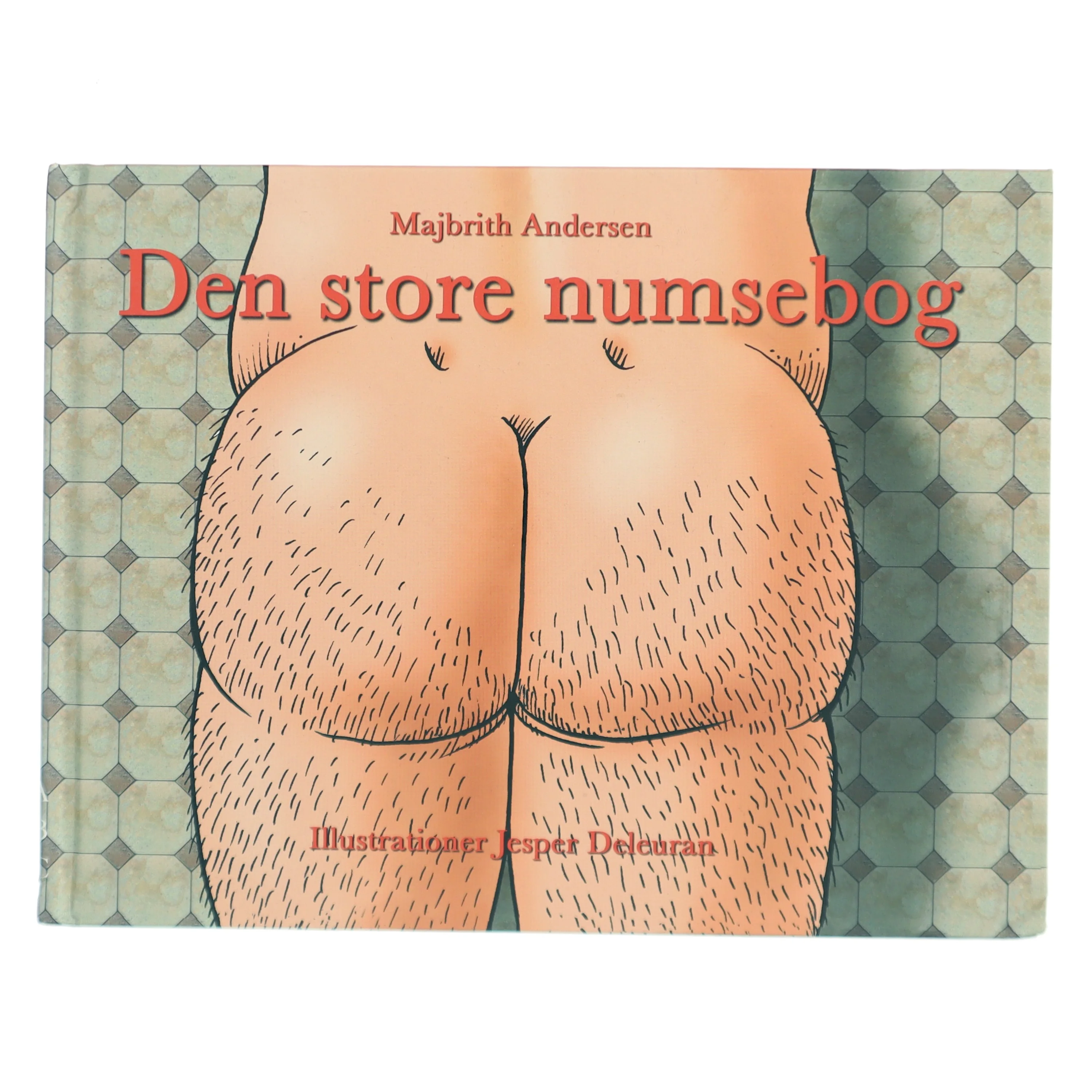 Den store numsebog af Majbrith Andersen (Bog)