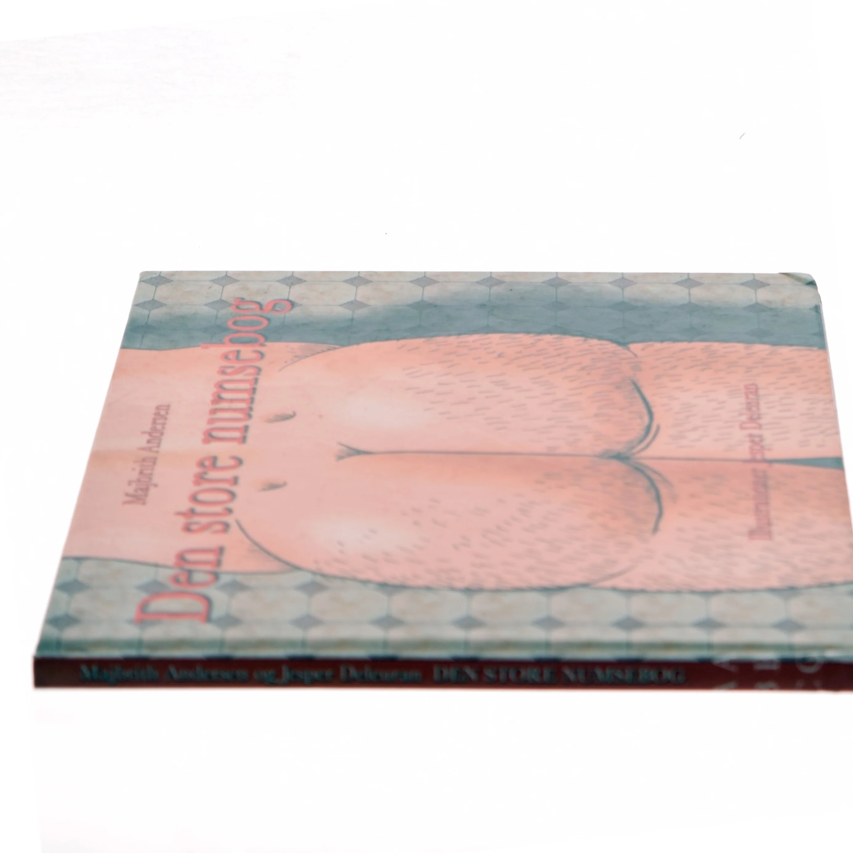 Den store numsebog af Majbrith Andersen (Bog)