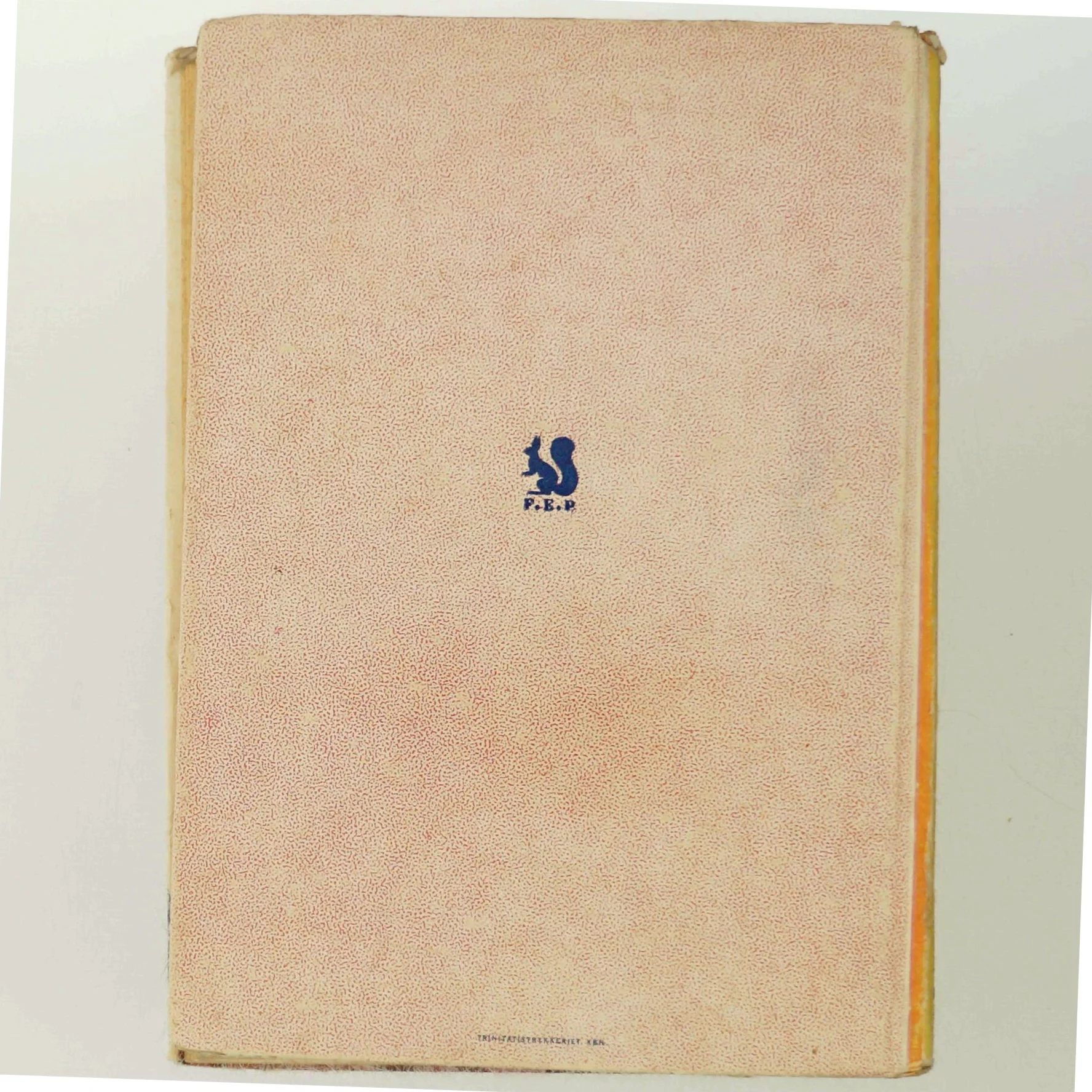 'Børnene på Matrup' af Anna Baadsgaard