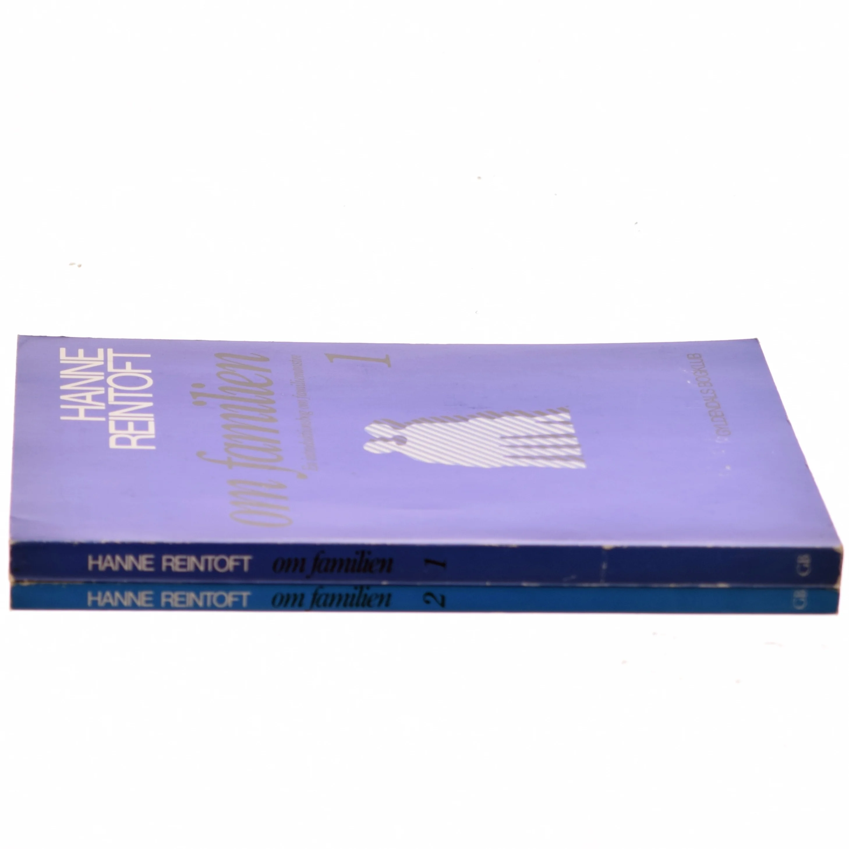 Om familien af Hanne Reintoft (Bog)
