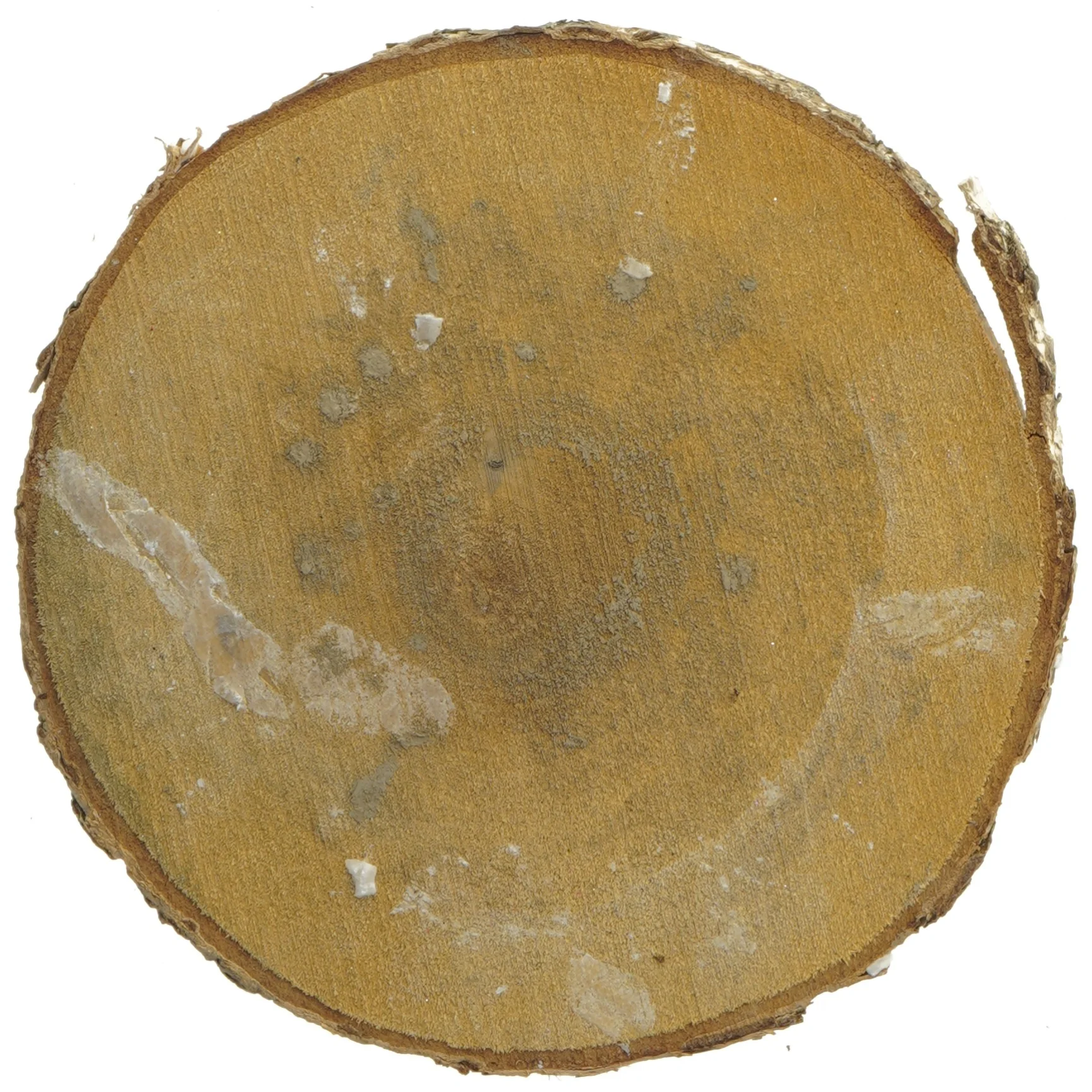 Træskive dekoration (str. Ø 22 cm)