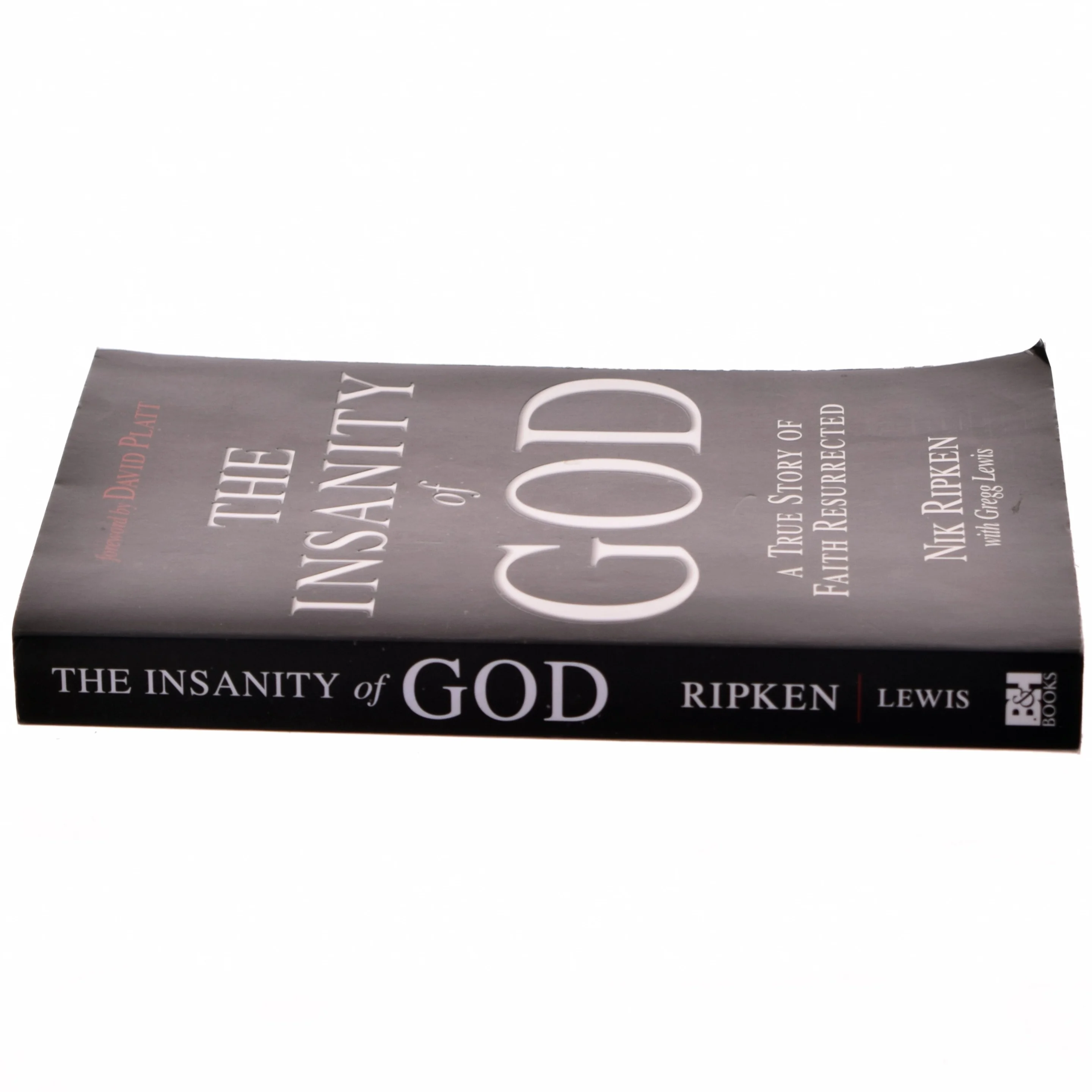 The Insanity of God af Nik Ripken, Gregg Lewis (Bog)