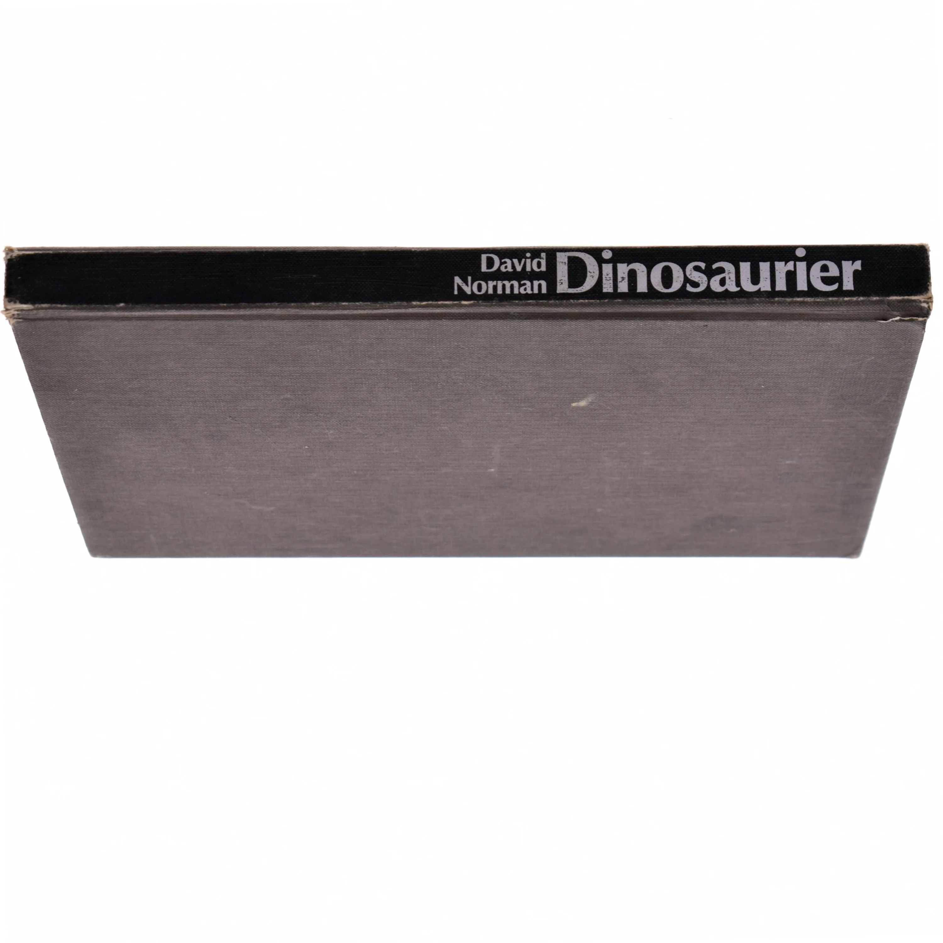 David Norman, Dinosaurier