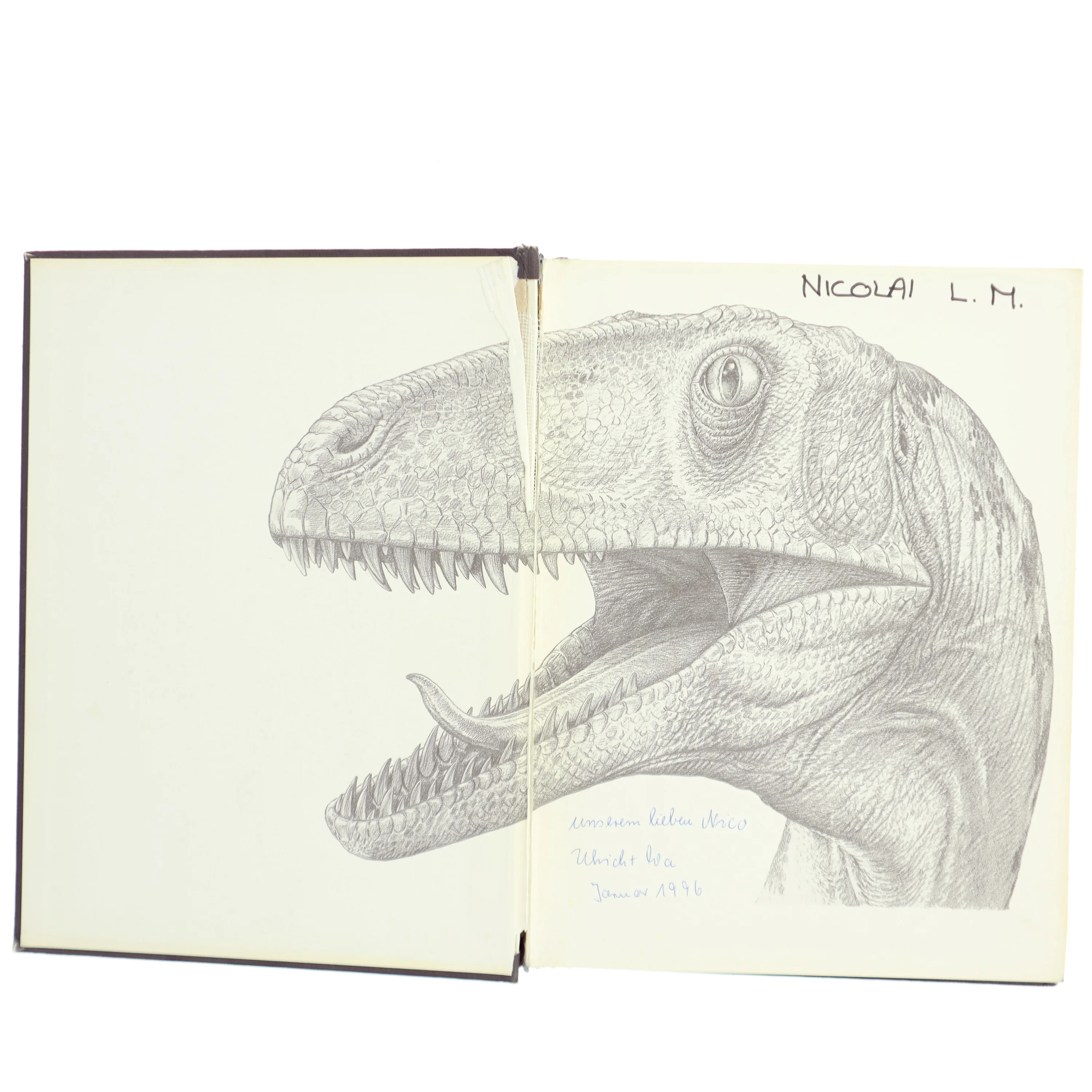 David Norman, Dinosaurier