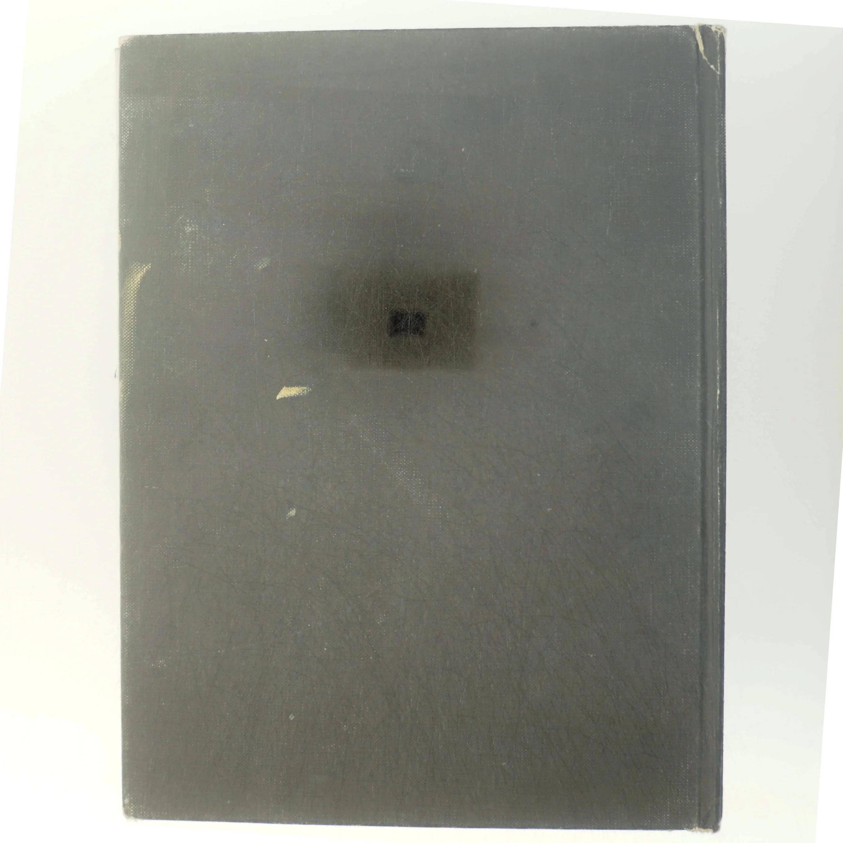 David Norman, Dinosaurier