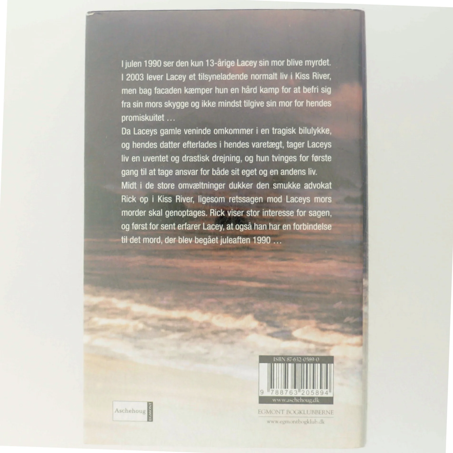 Skjulte følelser af Diane Chamberlain (Bog)