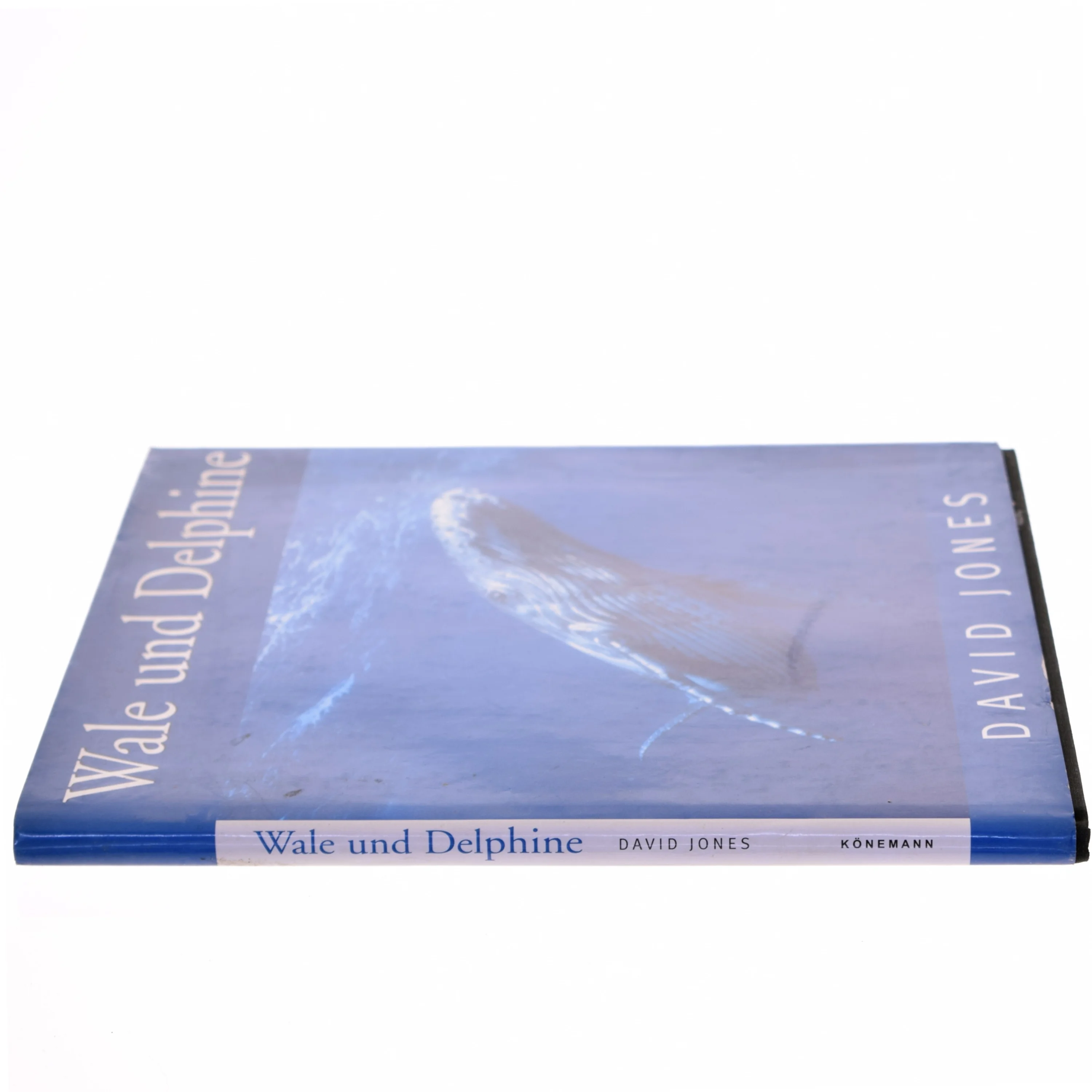 Wale und Delphine af David Jones (Bog)