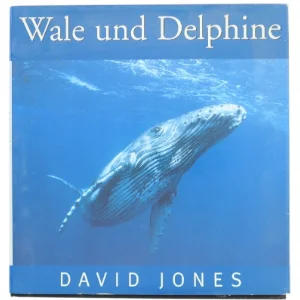 Wale und Delphine af David Jones (Bog)
