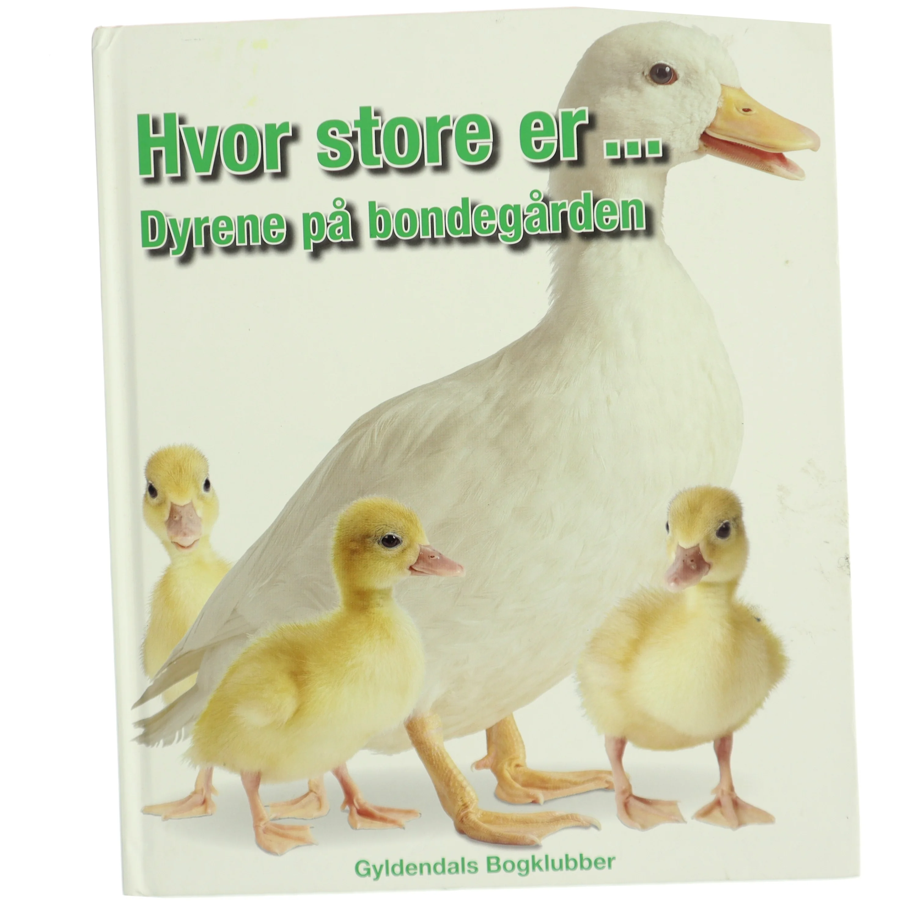 Hvor store er - dyrene på bondegården af Marie Greenwood (Bog)