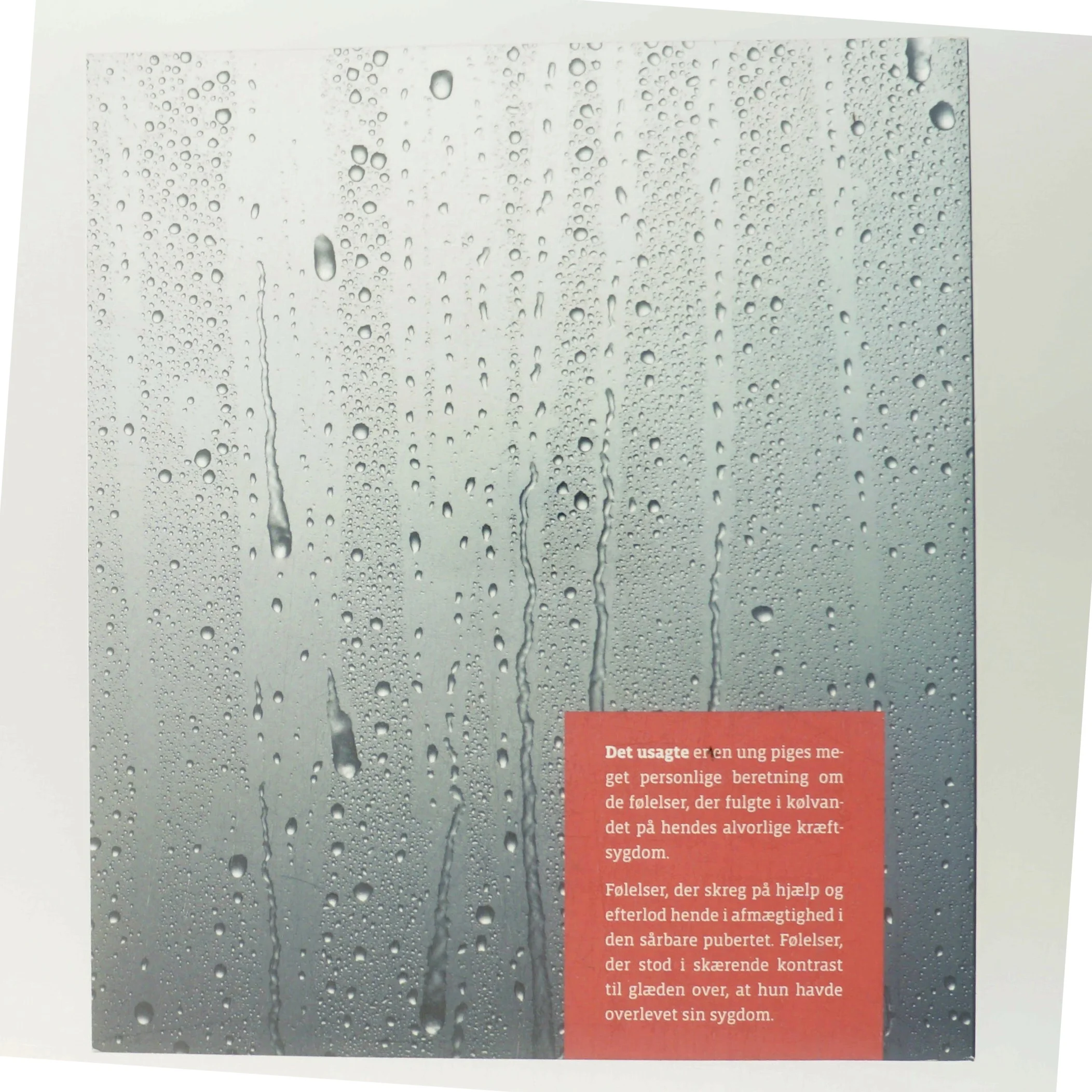 Det usagte af Trine Høpiach Christensen (Bog)