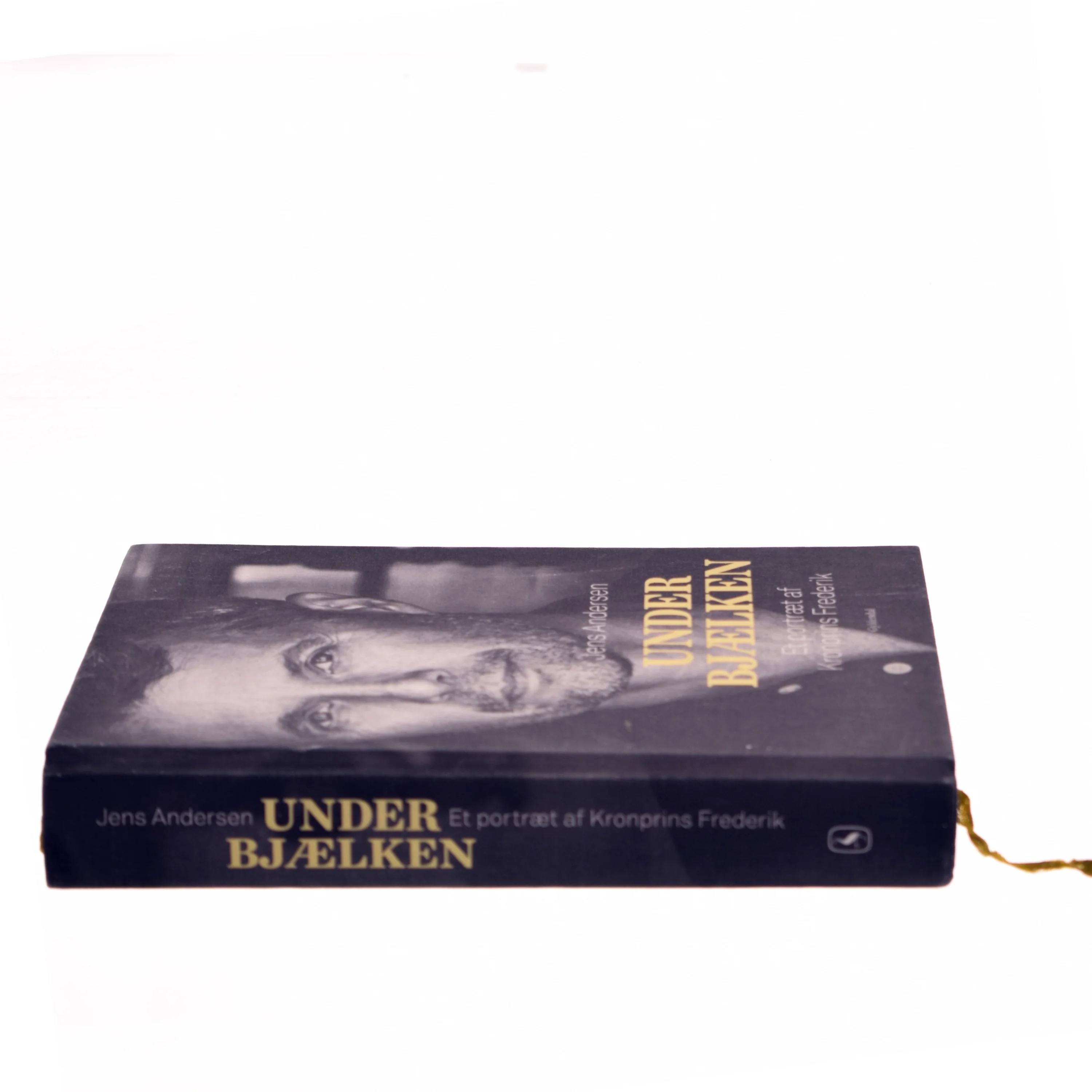 Under bjælken af Jens Andersen (f. 1955) (Bog)