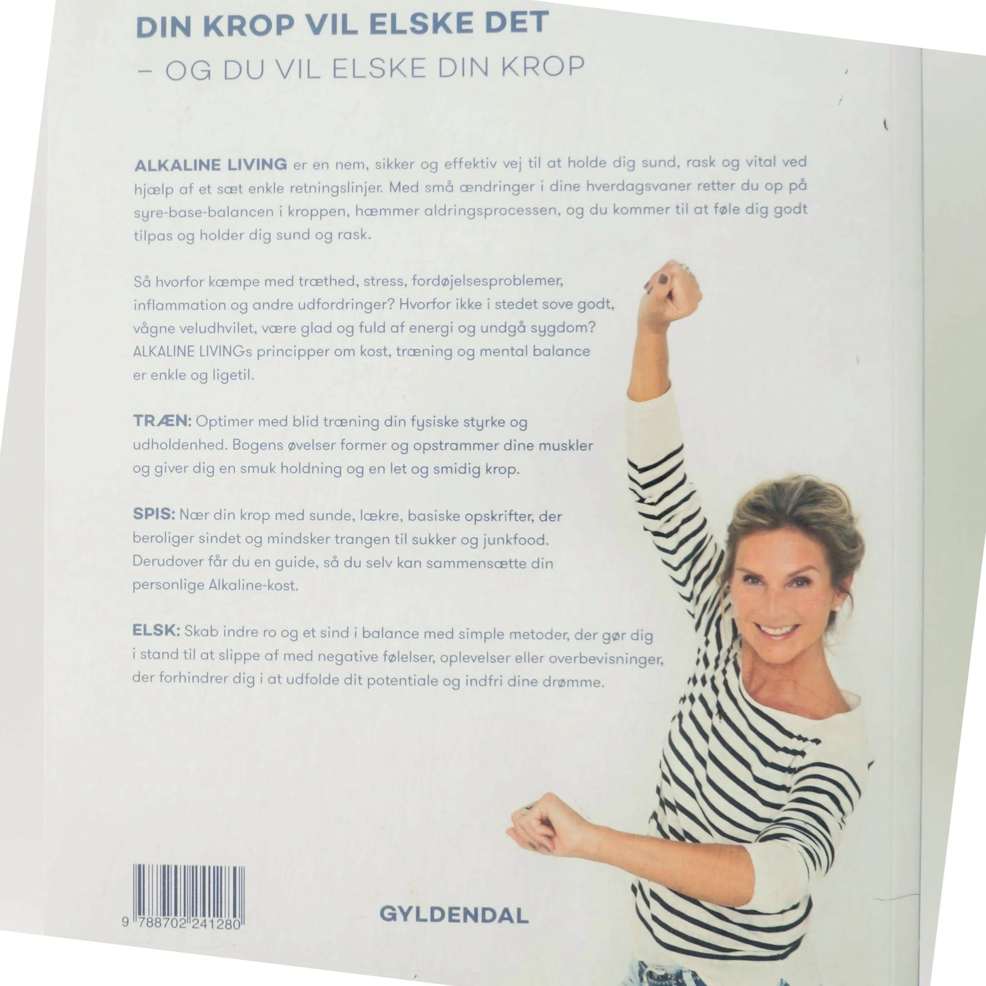 Alkaline living : antiflammatorisk livsstil - træn, spis, elsk af Bettinna Delfs (Bog)