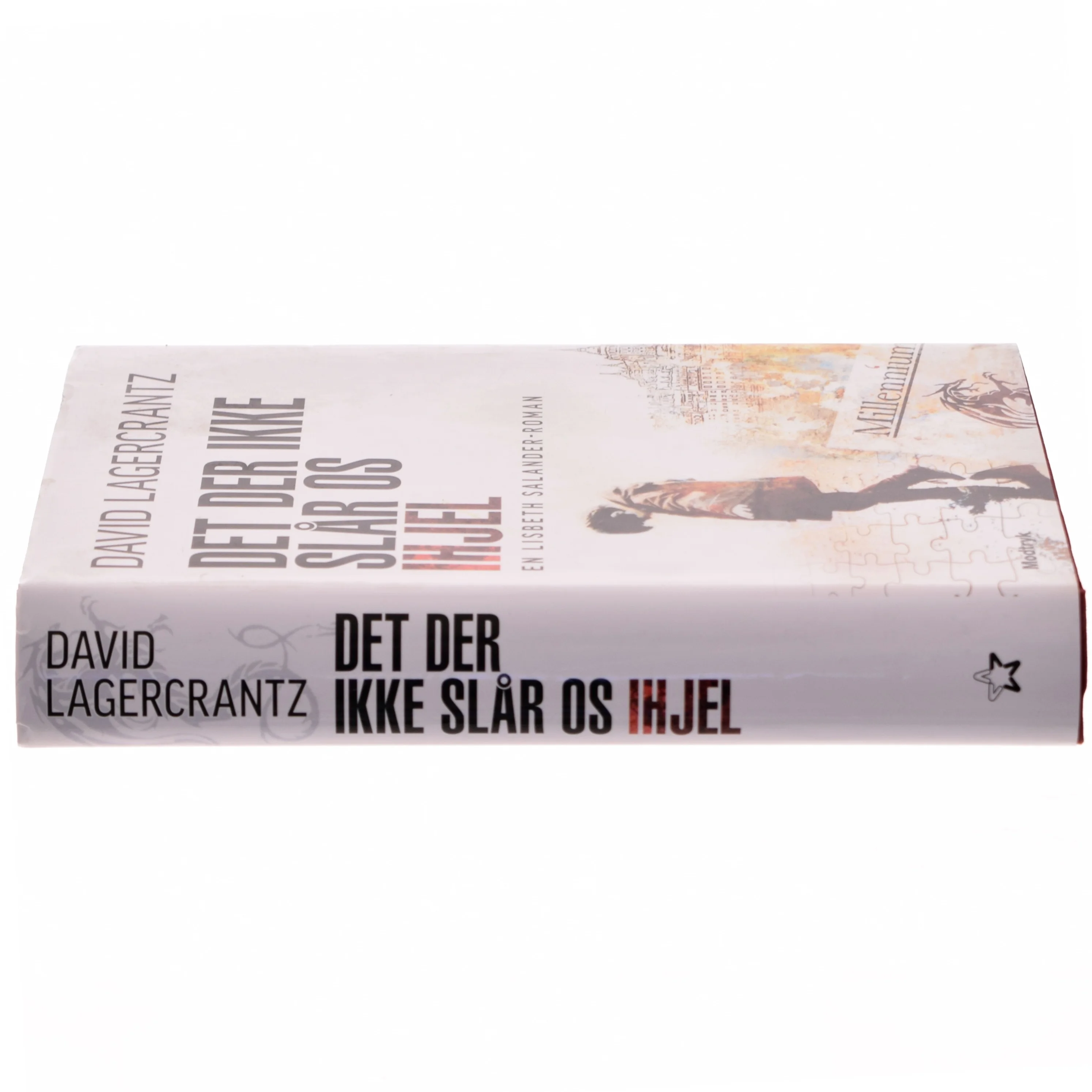 Det der ikke slår os ihjel bog fra Modtryk