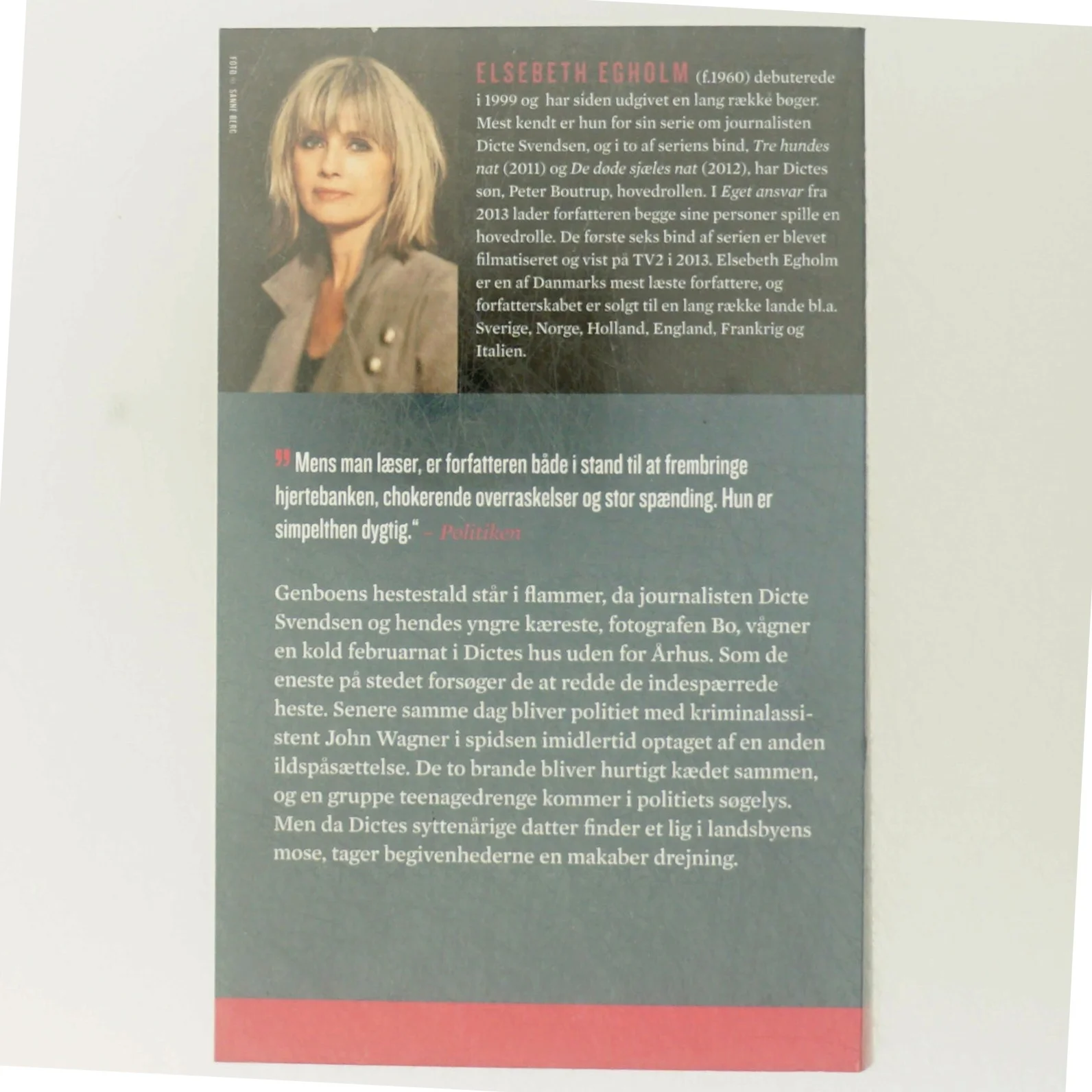 Elsebeth Egholm bog 'Selvrisiko'