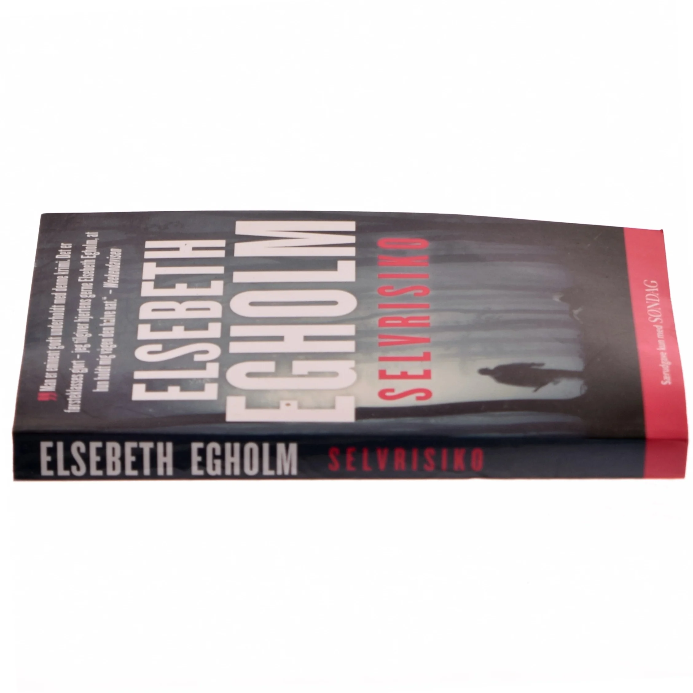 Elsebeth Egholm bog 'Selvrisiko'