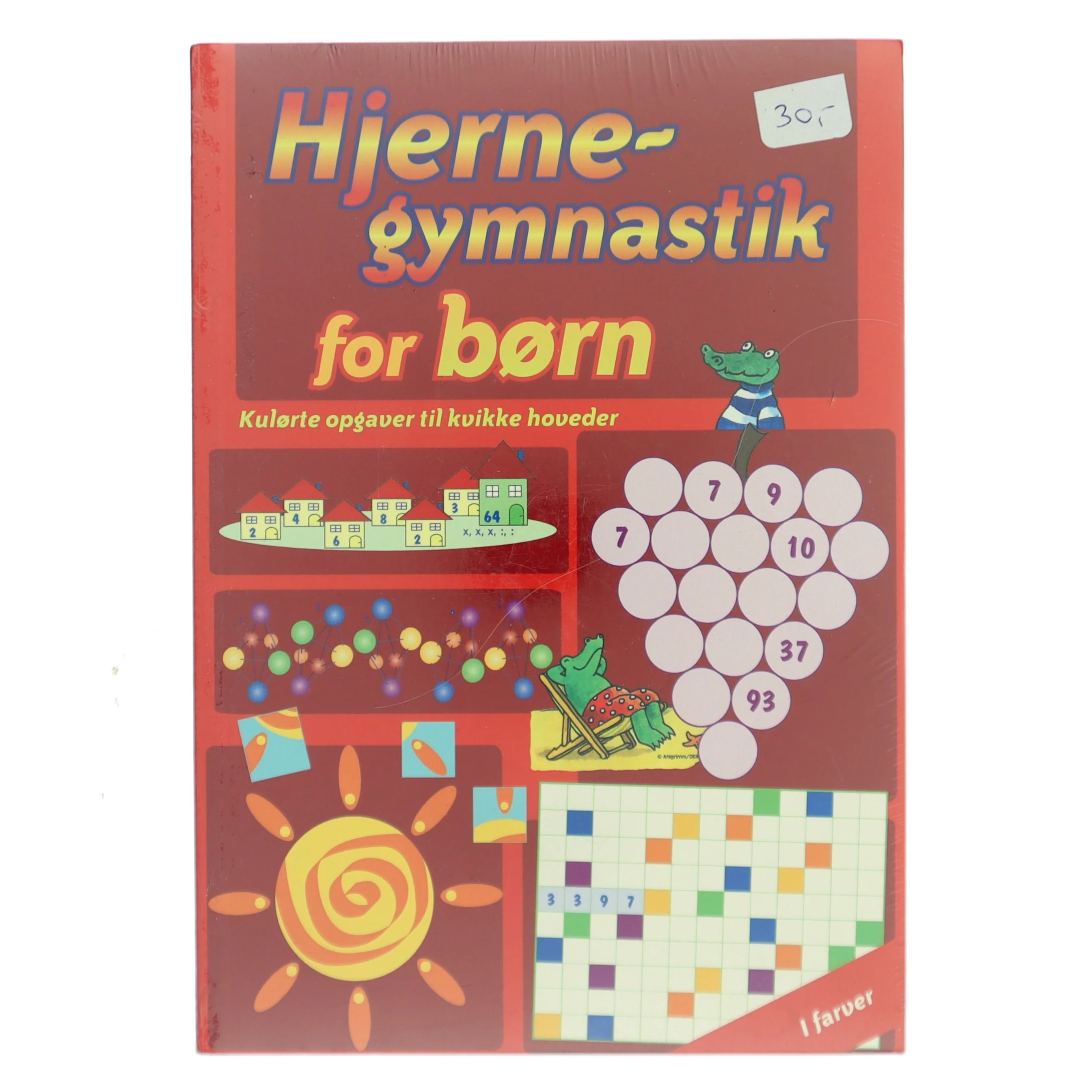 Stor opgavebog med sjov hjernegymnastik for børn af Allène Gohlhofter (Bog)