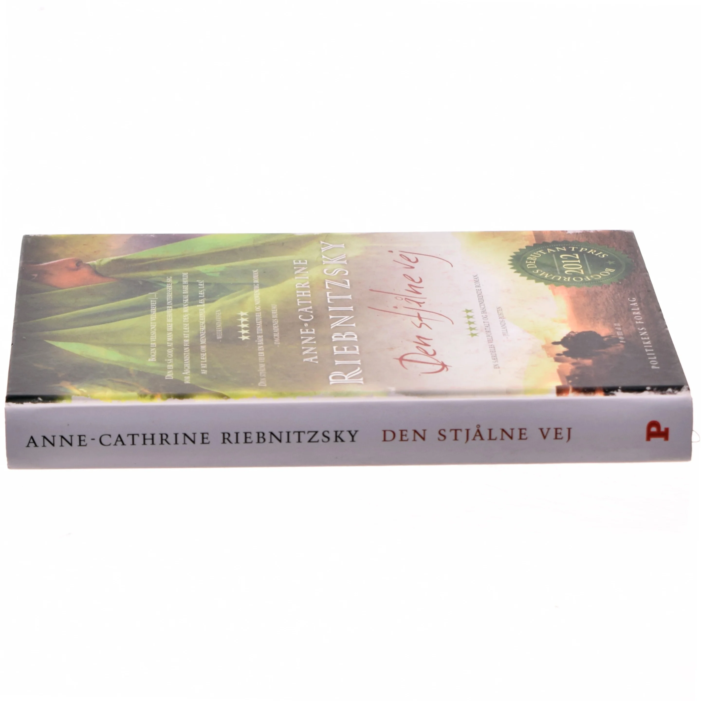 Den stjålne vej af Anne-Cathrine Riebnitzsky (Bog)