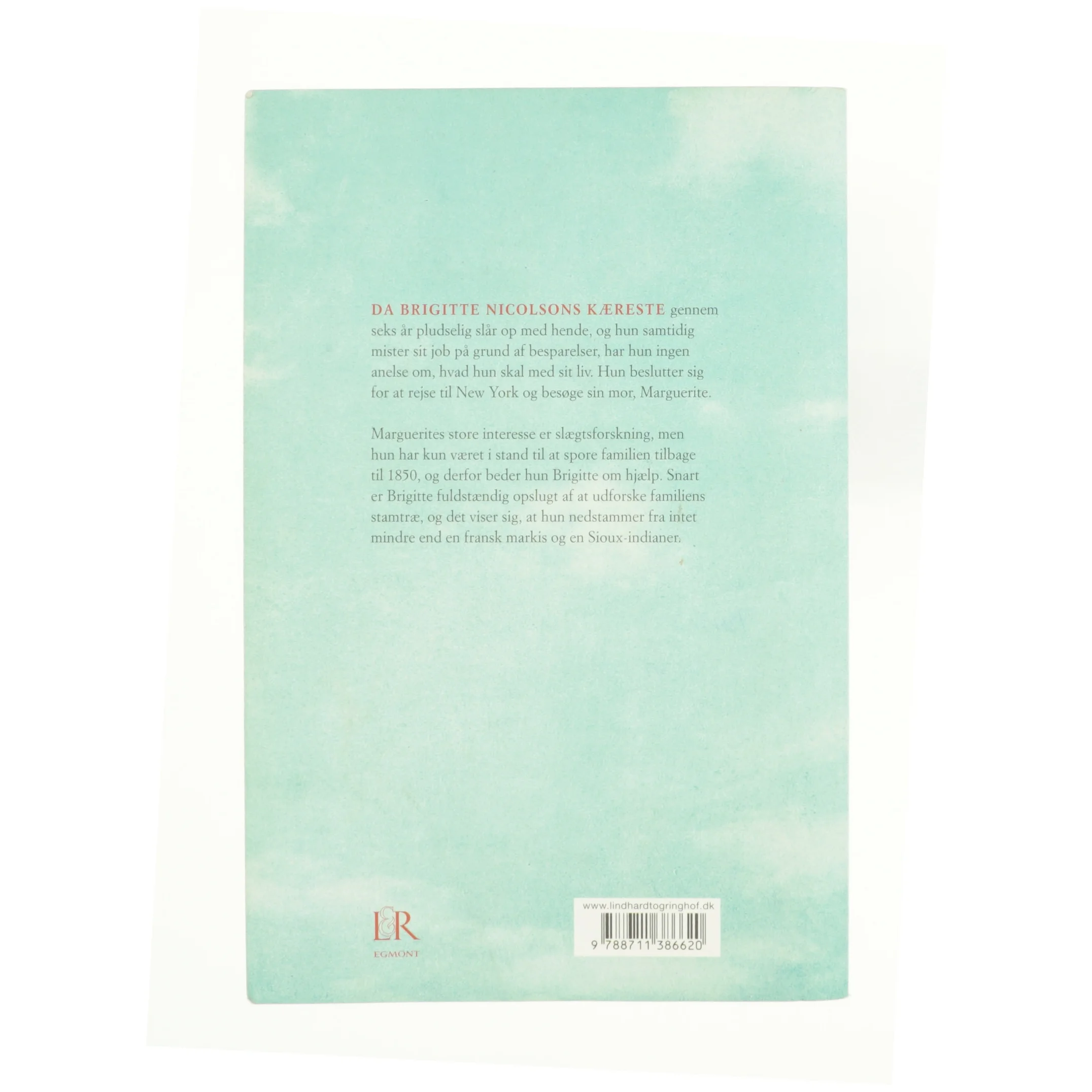 Arven af Danielle Steel (Bog)