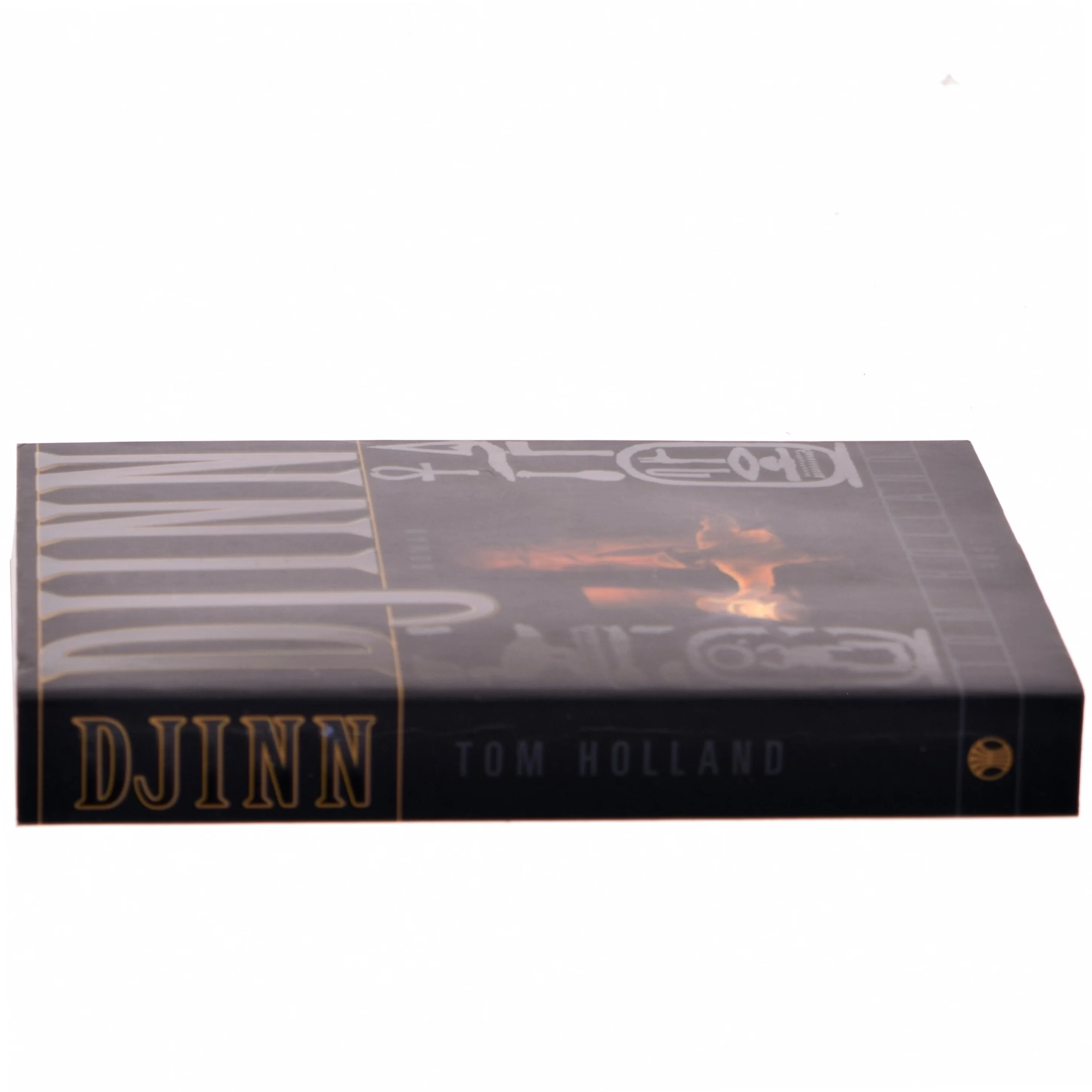 Djinn af Tom Holland (Bog)